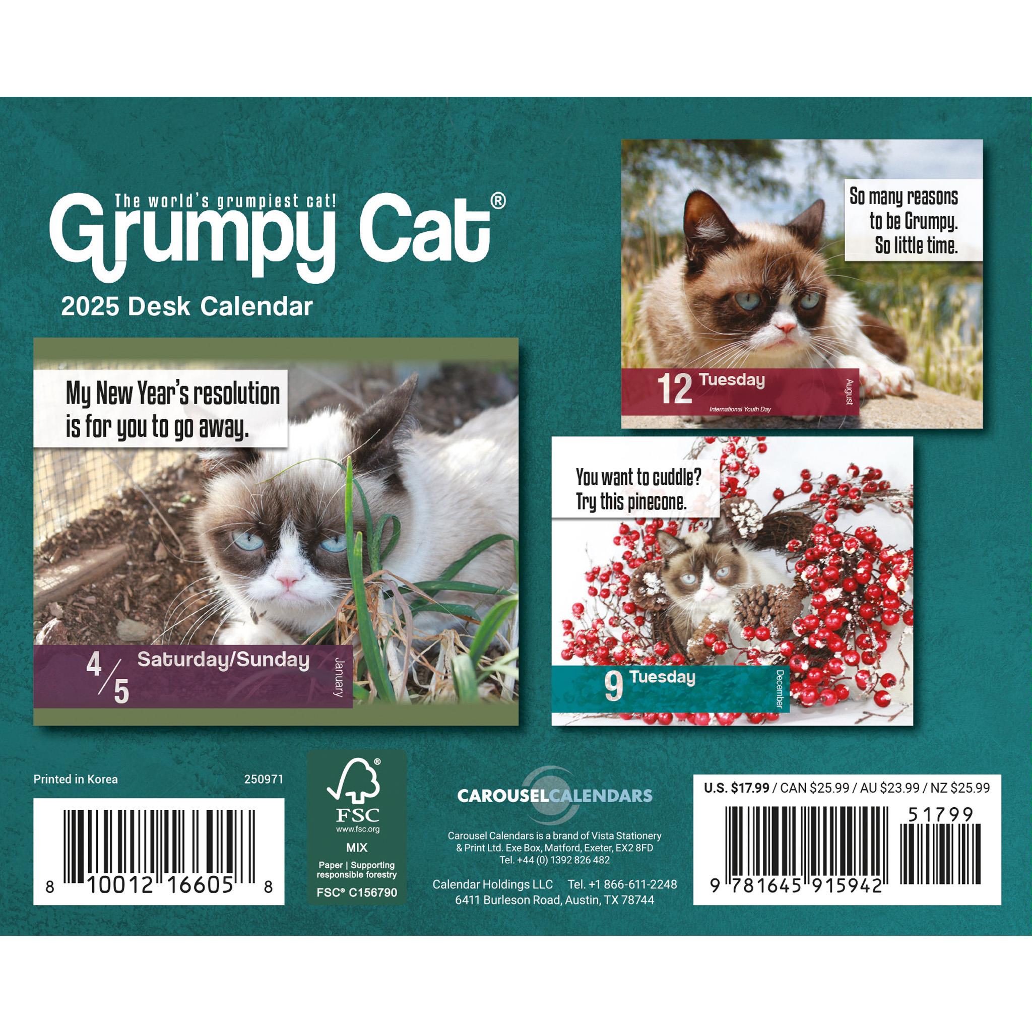 Grumpy Cat Box 2025 Calendar