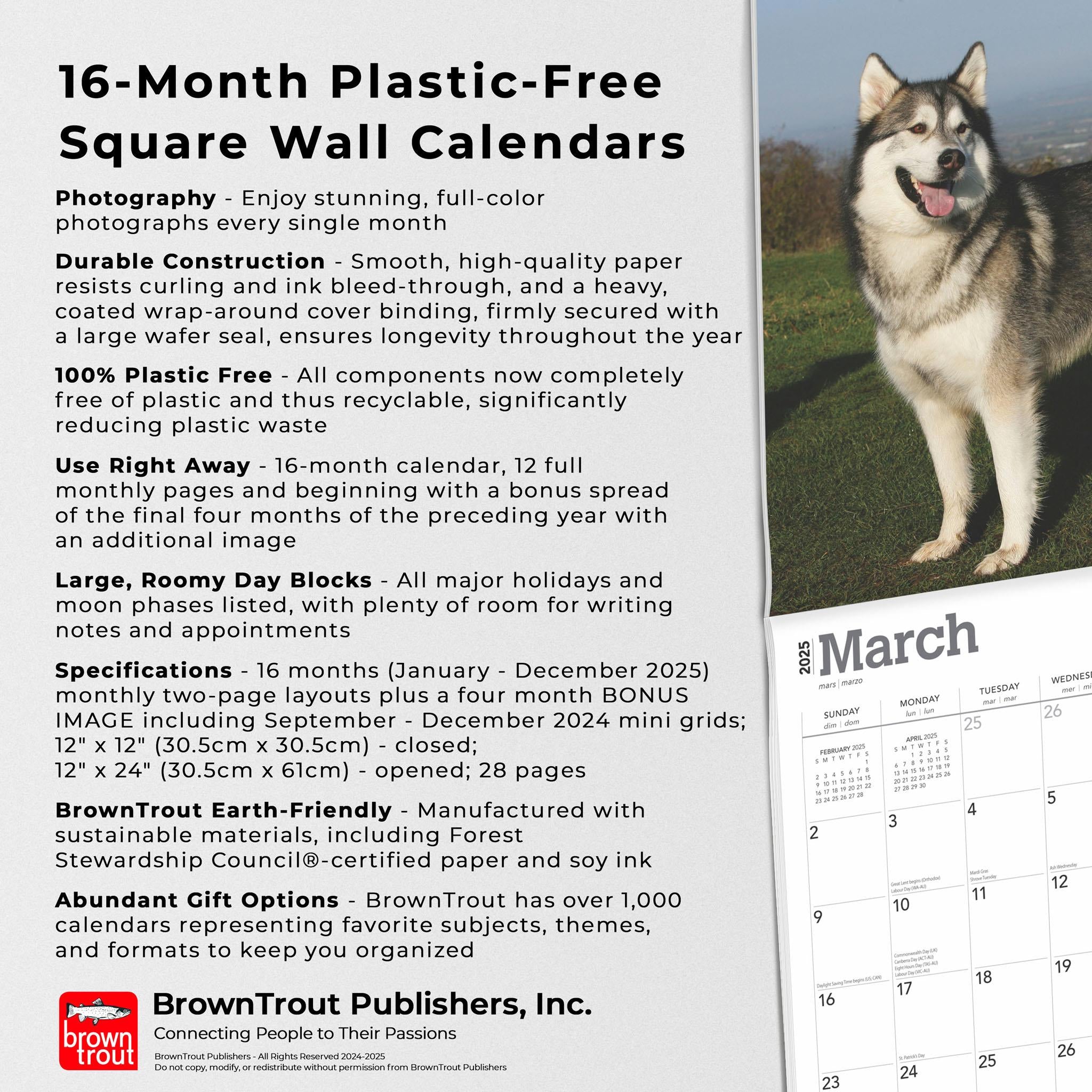 Alaskan Malamutes Wall 2025 Calendar