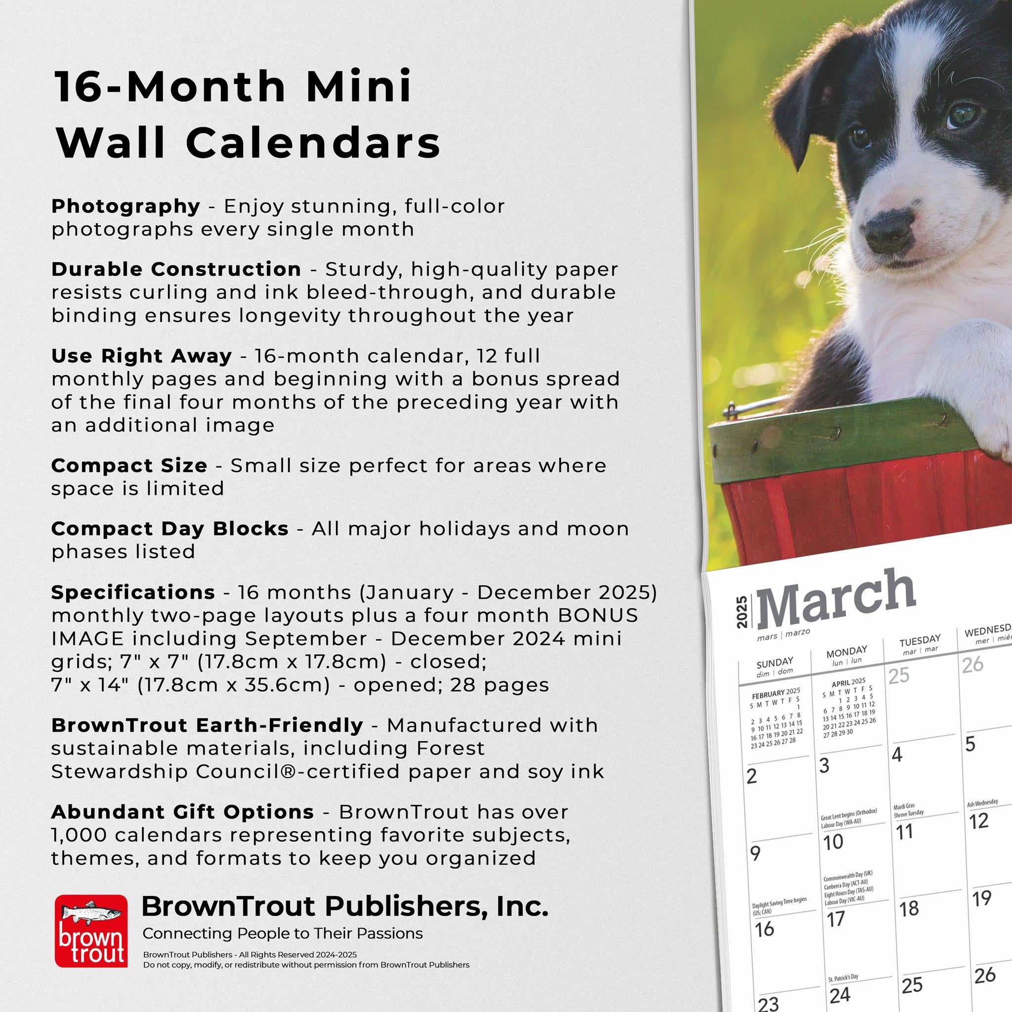 Border Collie Puppies Mini 2025 Calendar