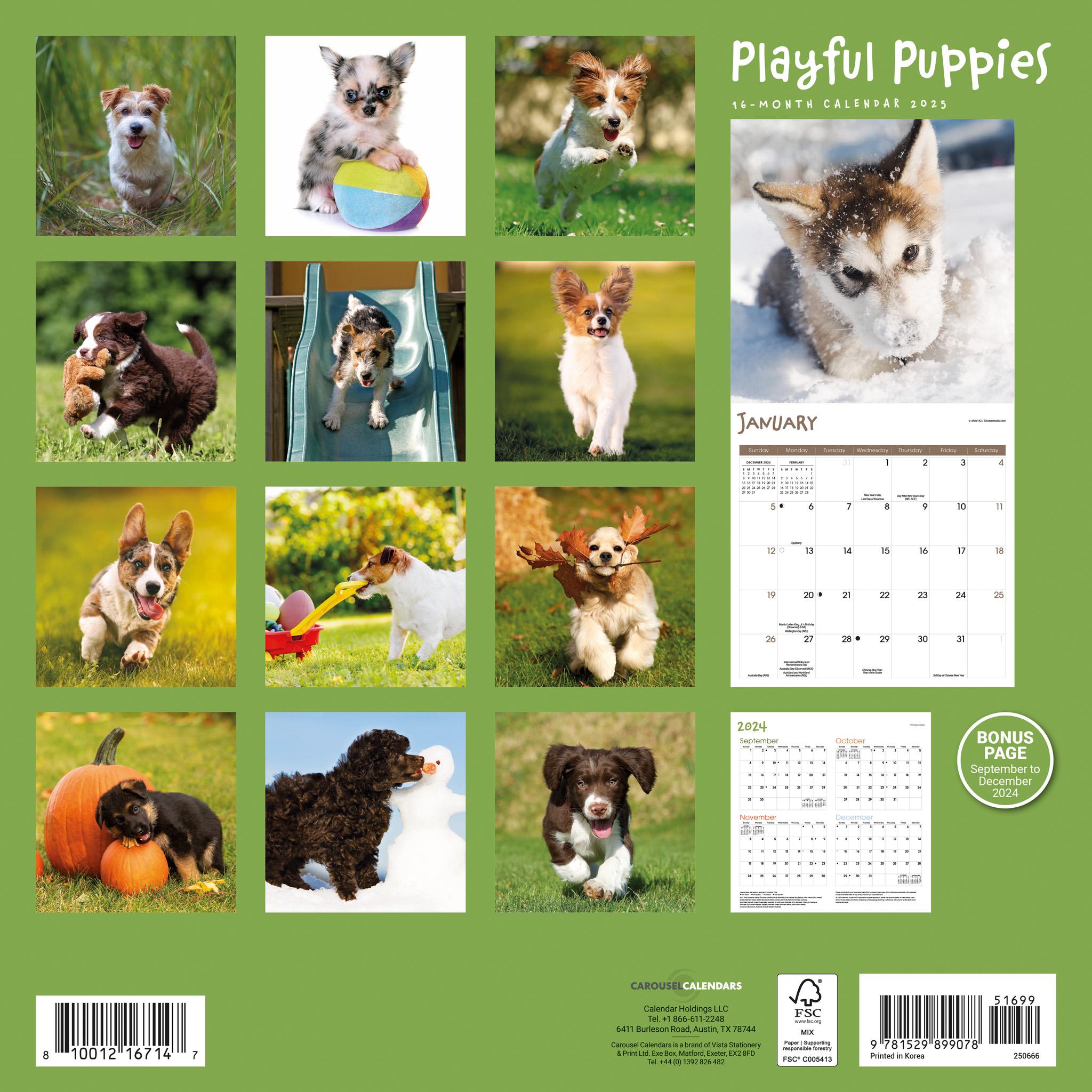 Playful Puppies Wall 2025 Calendar