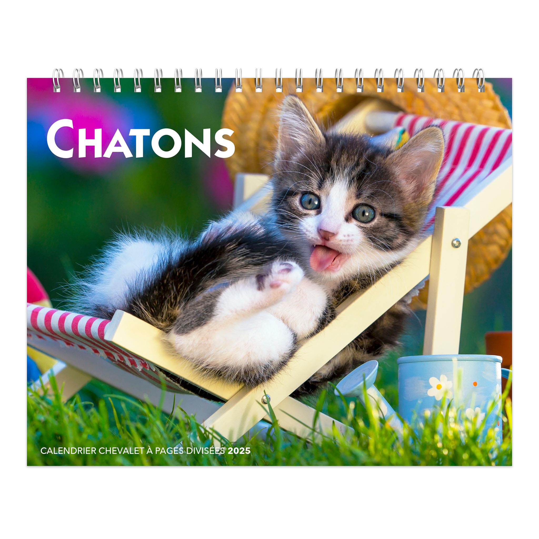 Chatons Easel 2025 Calendar (French)