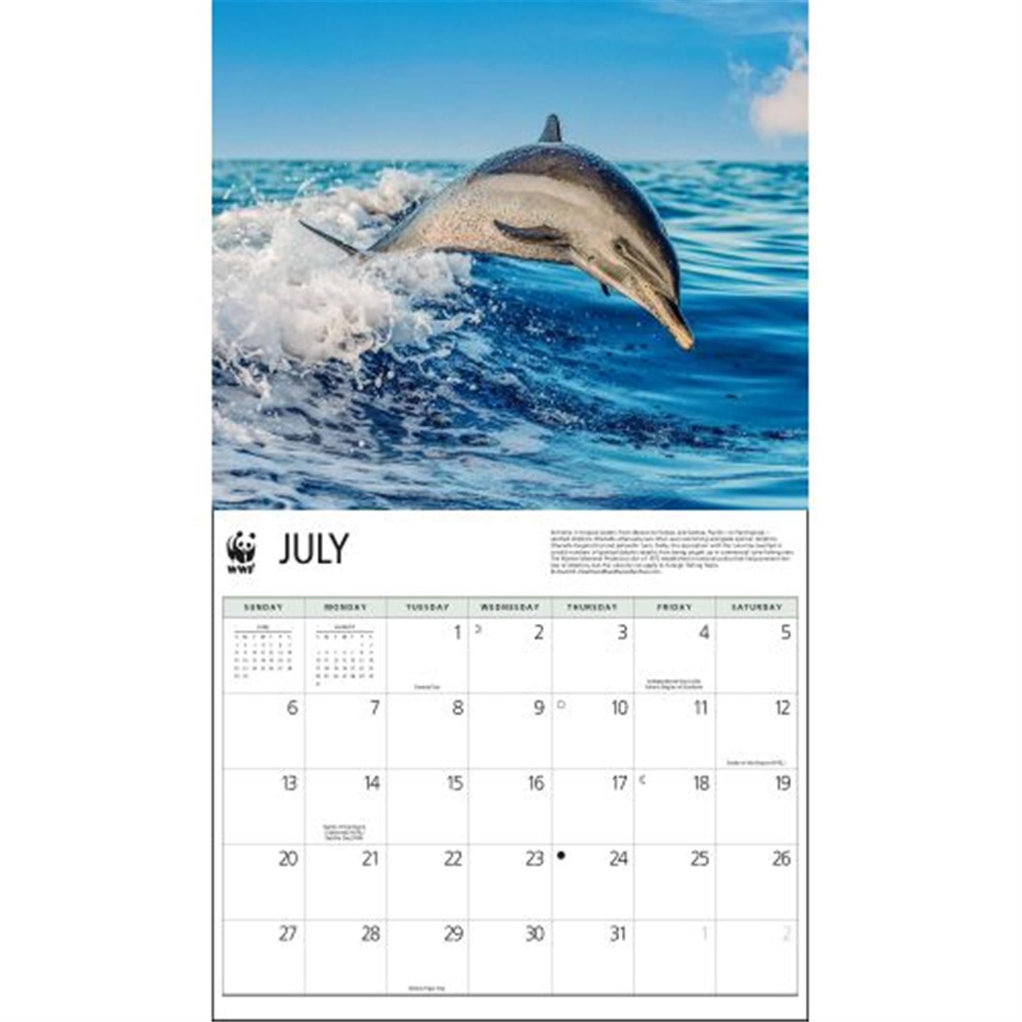 Dolphins World Wildlife Fund Wall 2025 Calendar