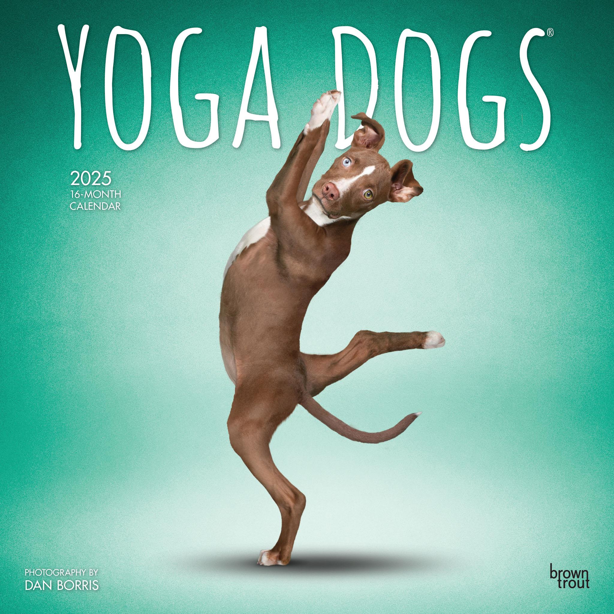 Yoga Dogs Wall 2025 Calendar