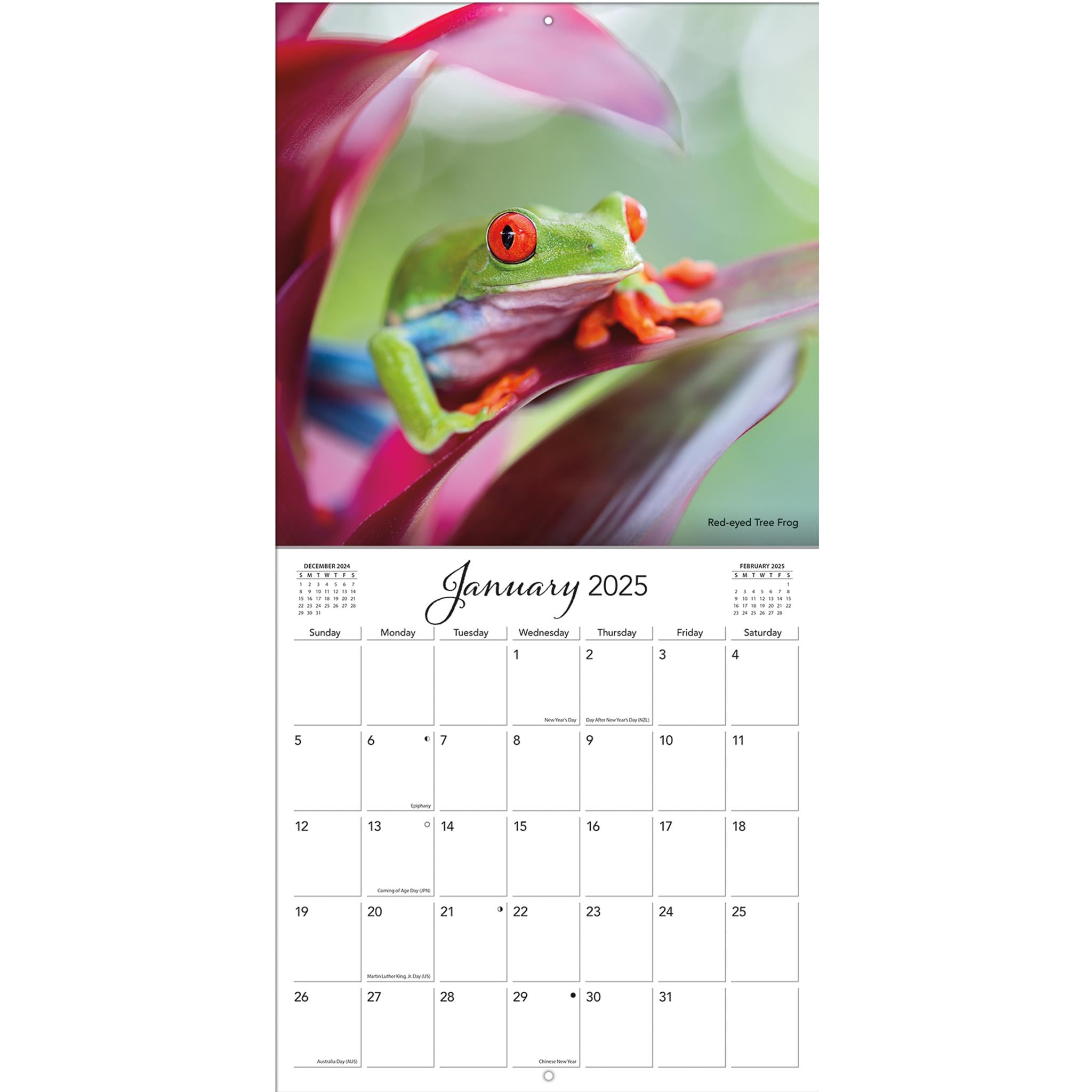 Costa Rica Wall 2025 Calendar