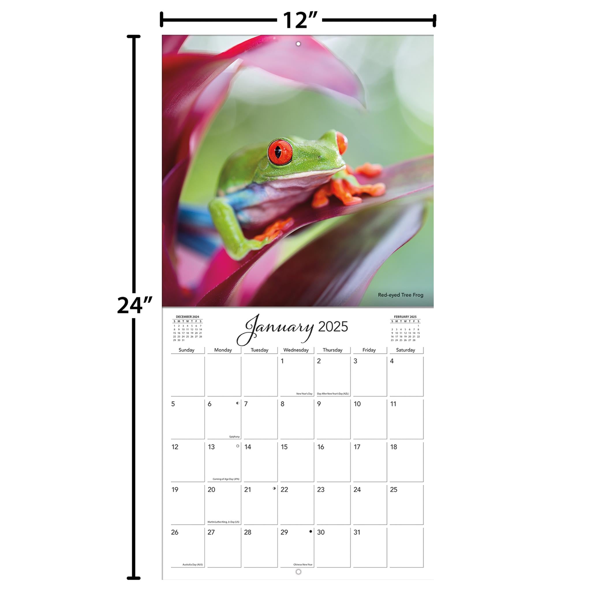 Costa Rica Wall 2025 Calendar