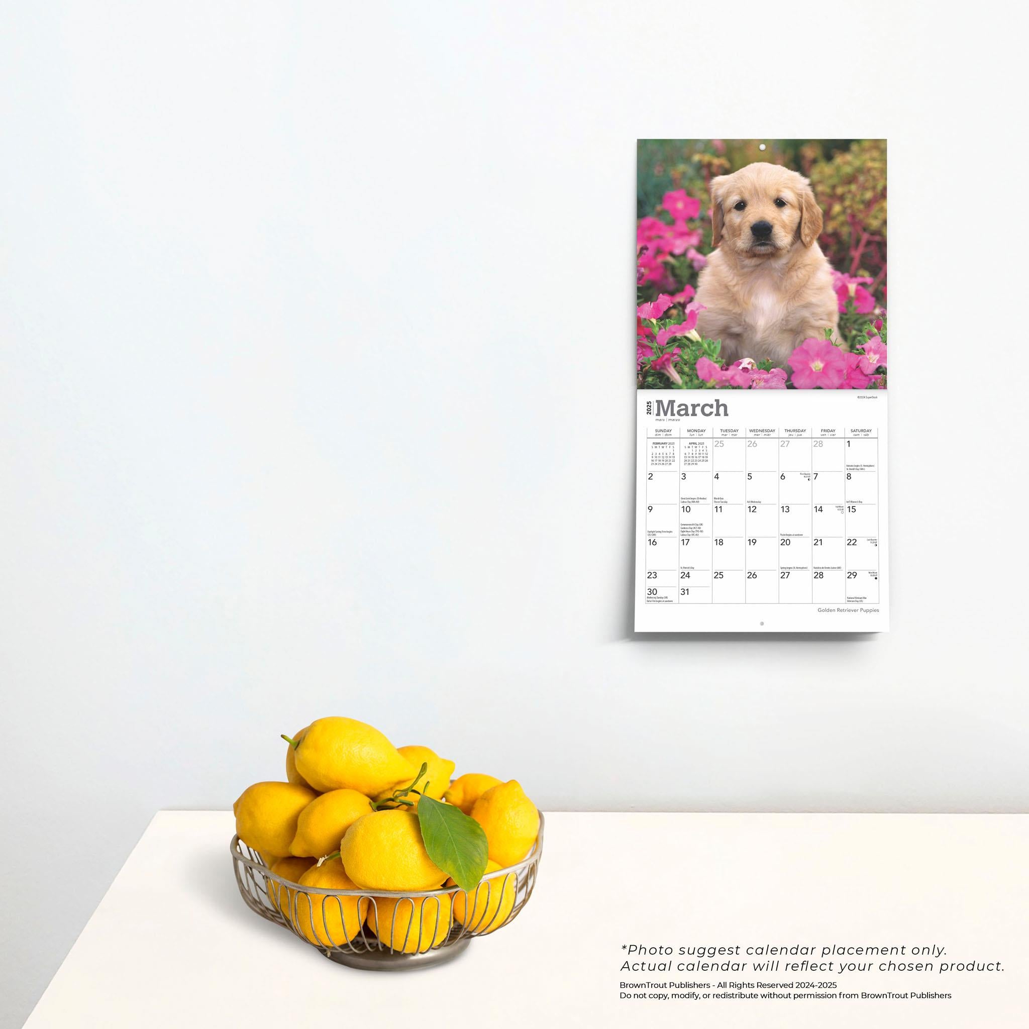 Golden Retriever Puppies Mini 2025 Calendar