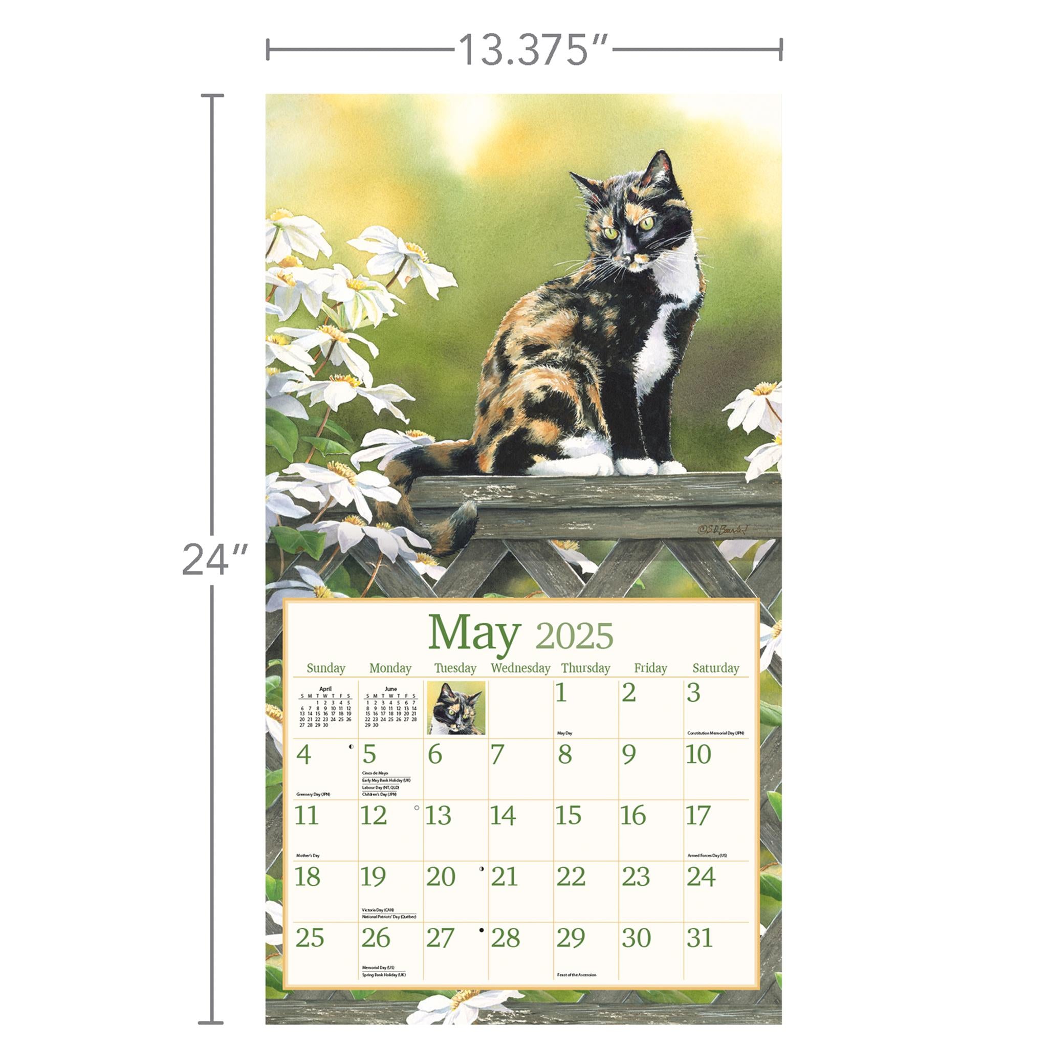 Cats In The Country Wall 2025 Calendar