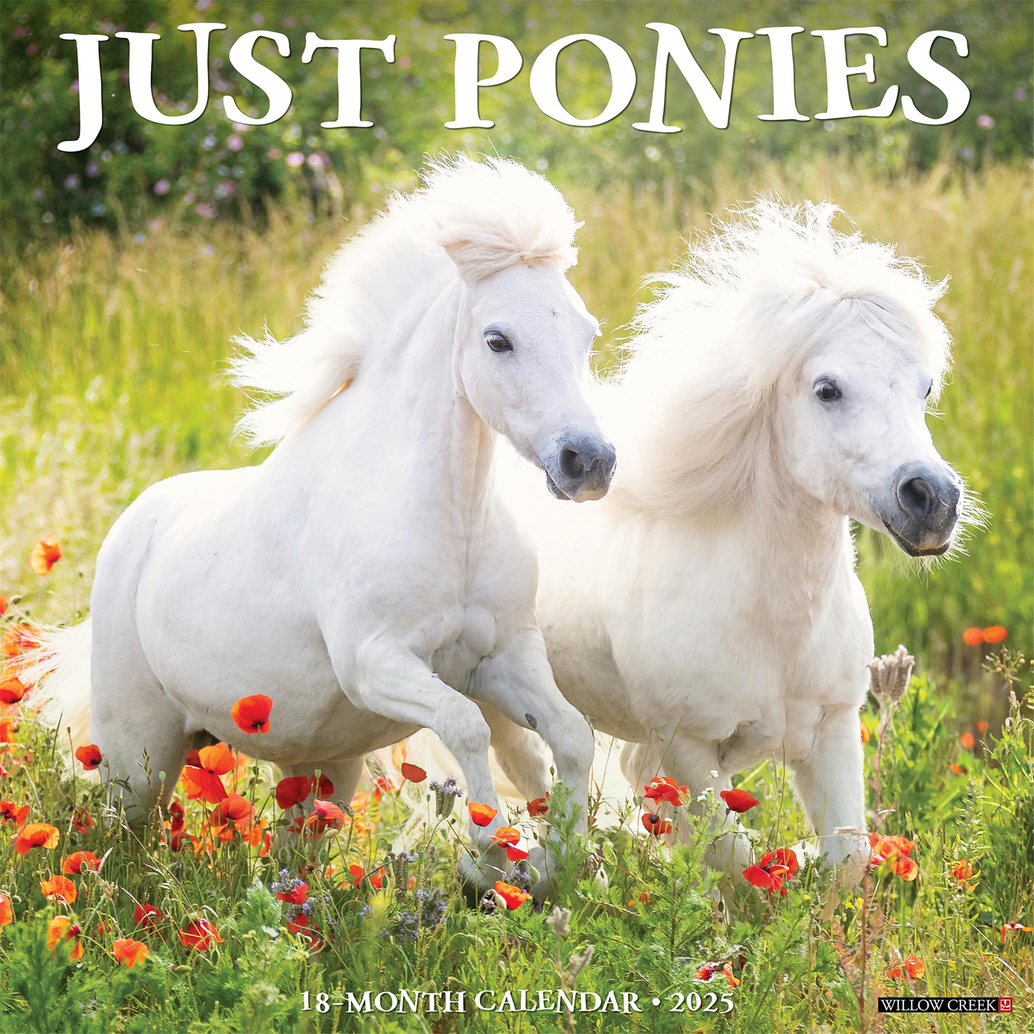 Ponies Wall 2025 Calendar - Online Exclusive