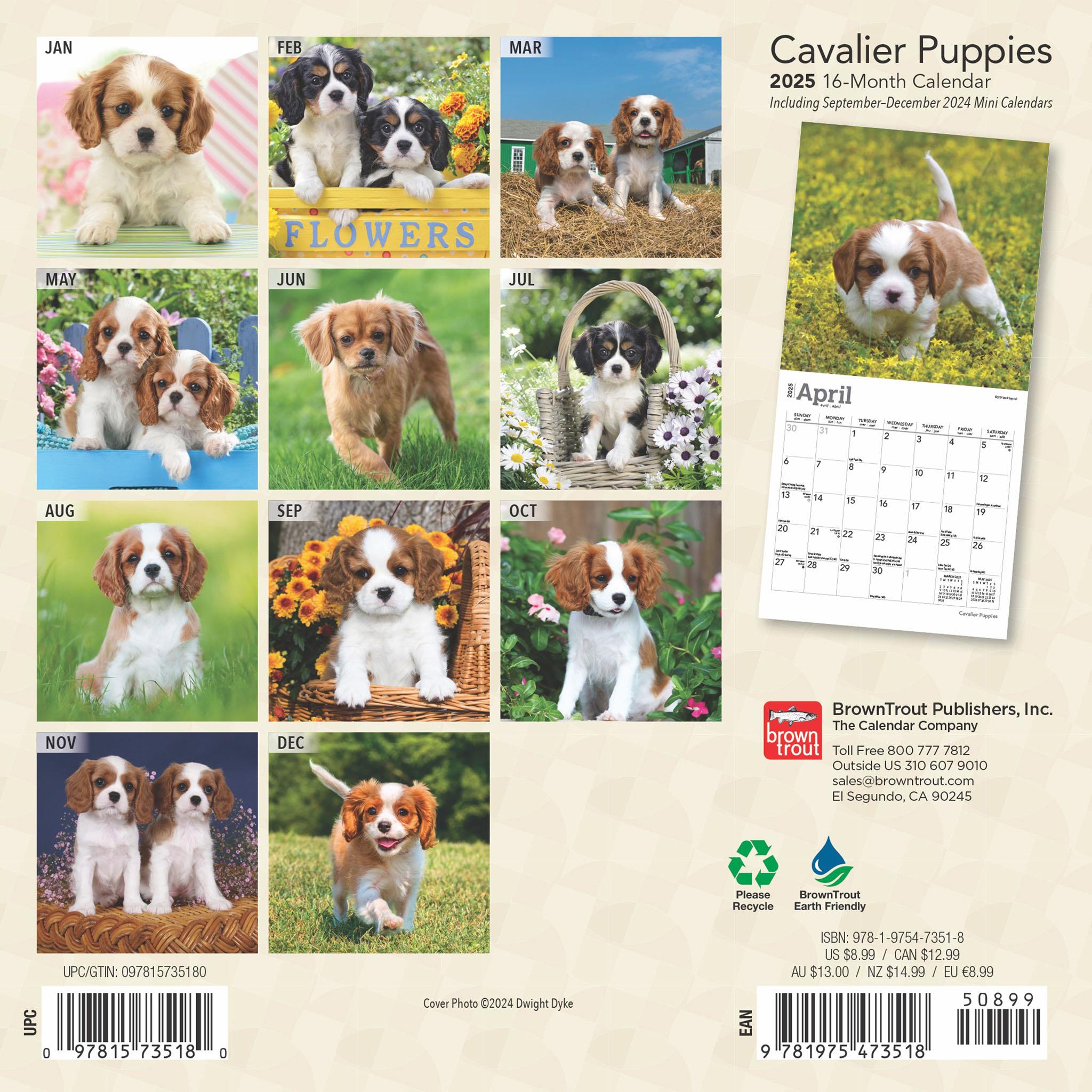 Cavalier King Charles Spaniel Puppies Mini 2025 Calendar - Online Exclusive