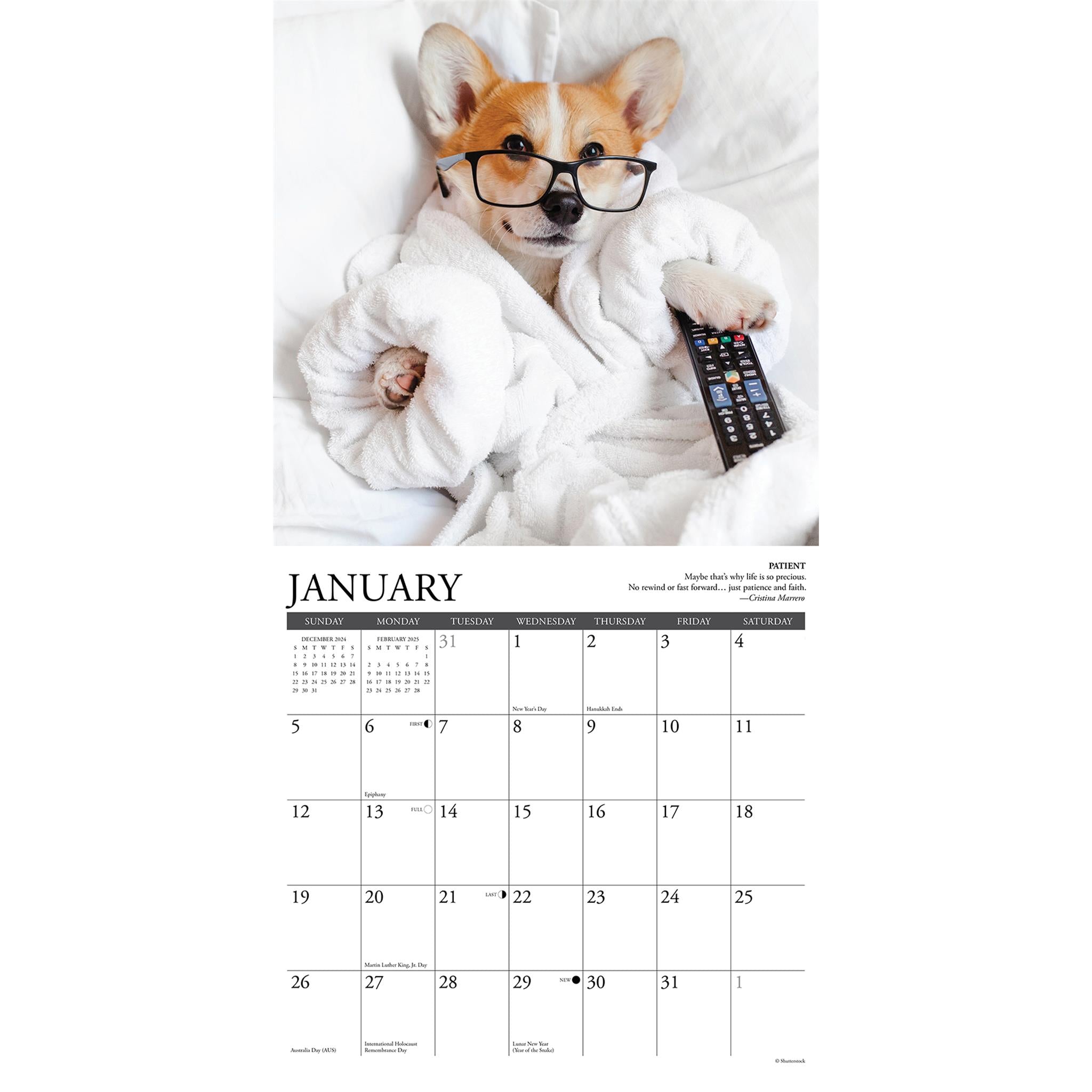 Corgi Rules Wall 2025 Calendar - Online Exclusive