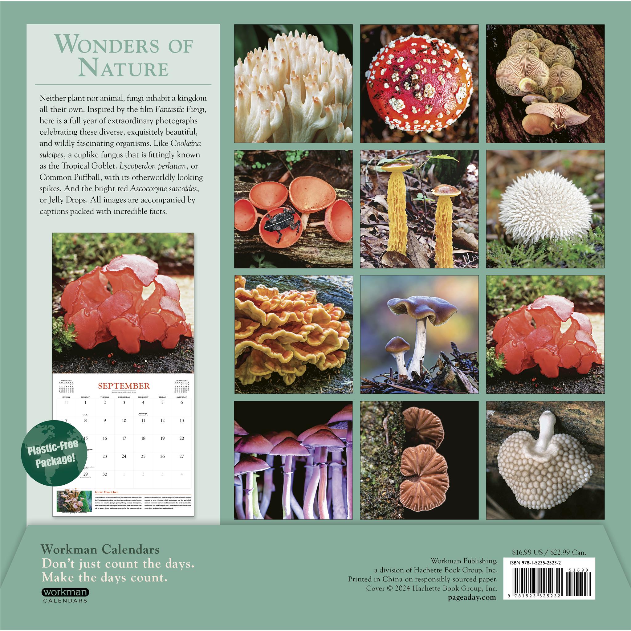 Fantastic Fungi Wall 2025 Calendar - Online Exclusive