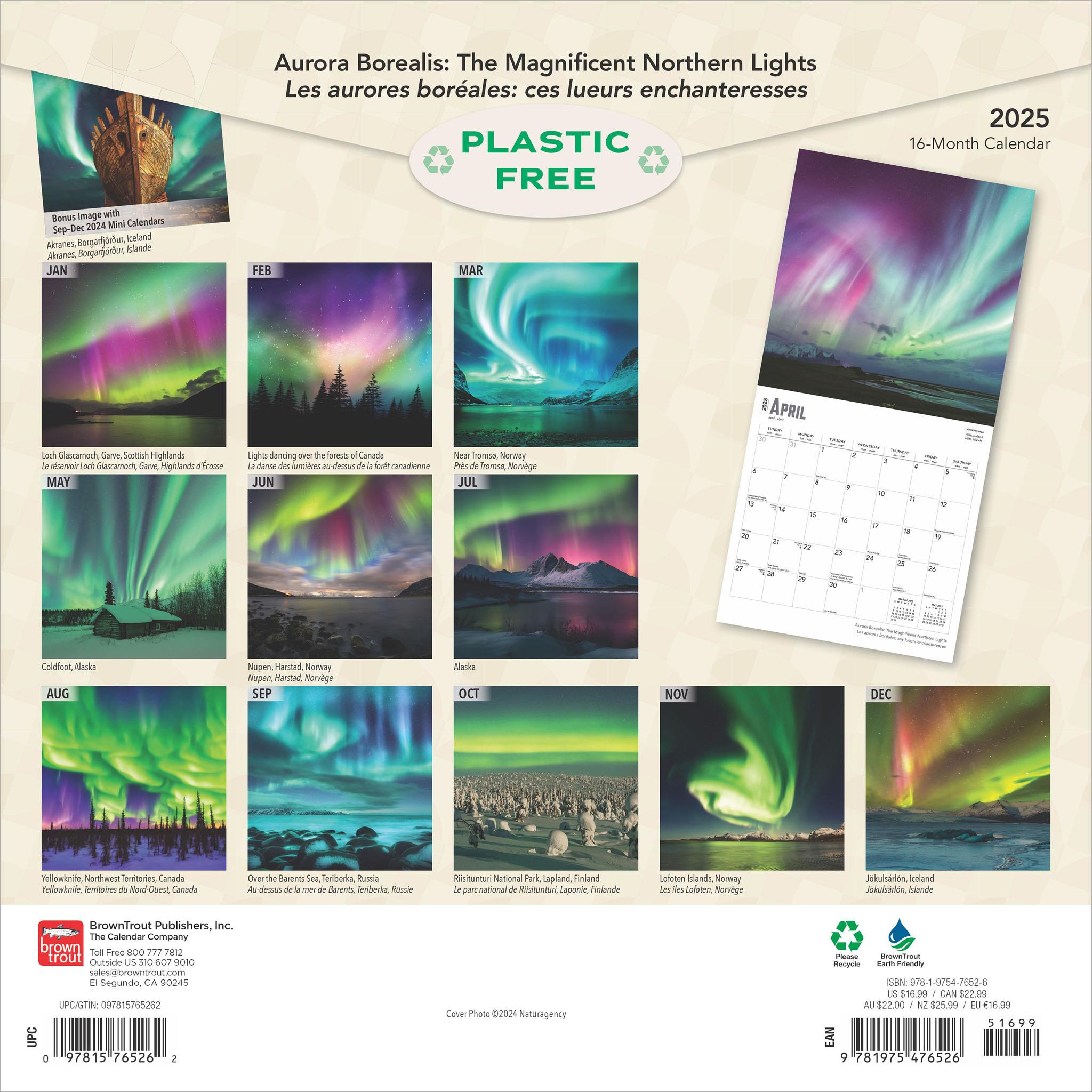 Aurora Borealis Bilingual Wall 2025 Calendar - Online Exclusive