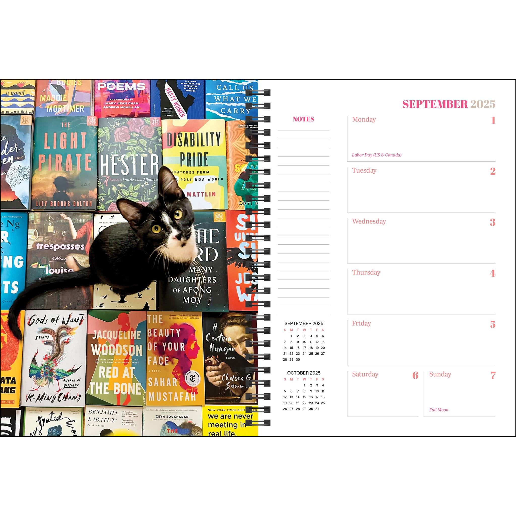 Cats And Books Engagement 2025 Calendar - Online Exclusive