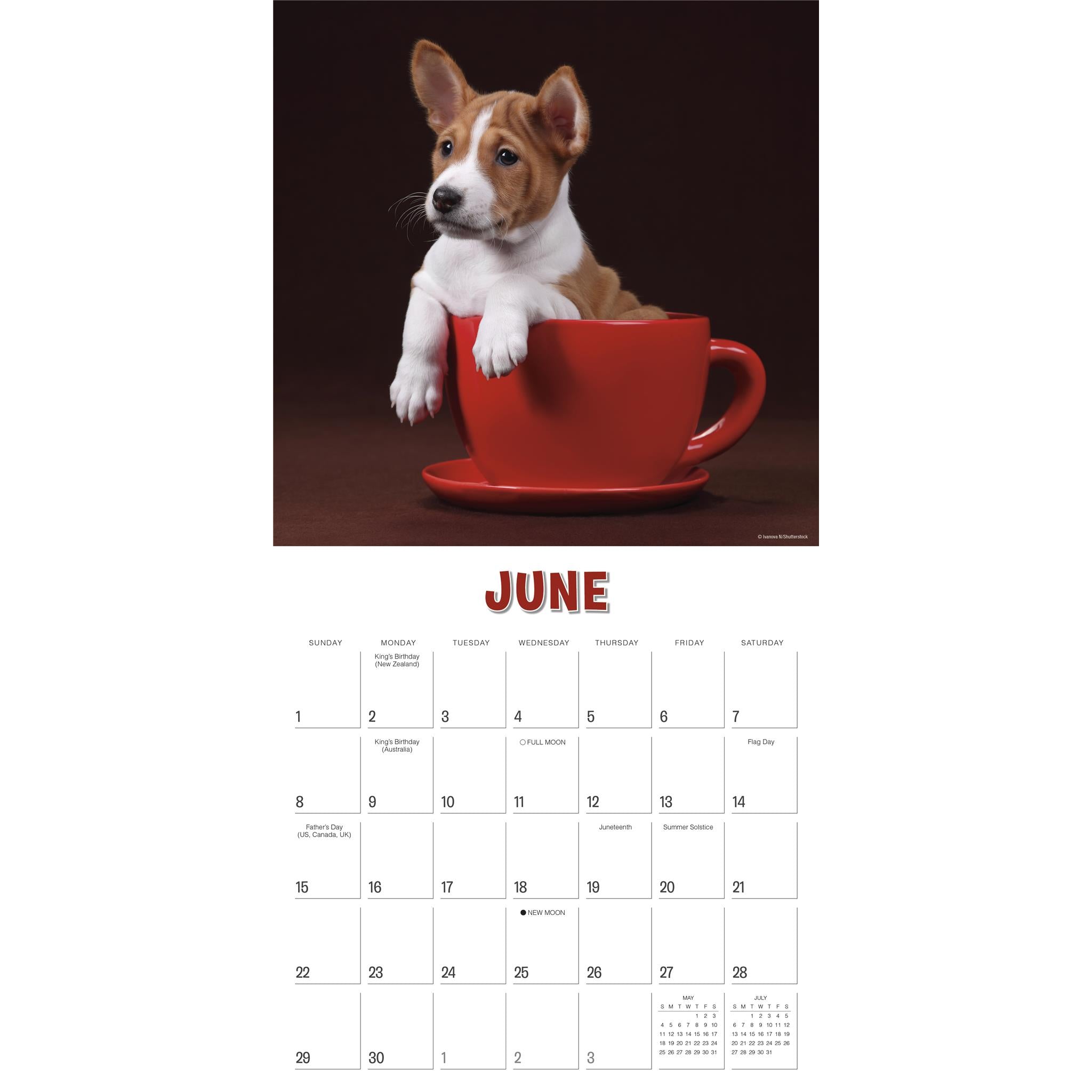 Pups In Cups Wall 2025 Calendar - Online Exclusive