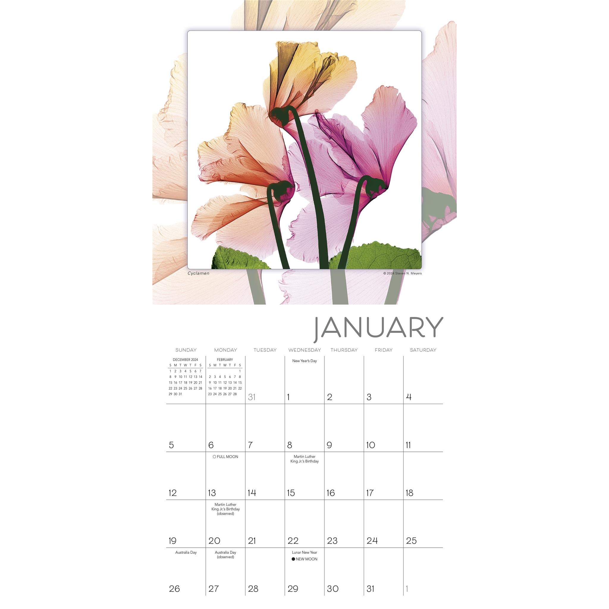 Flower Spirits Mini 2025 Calendar