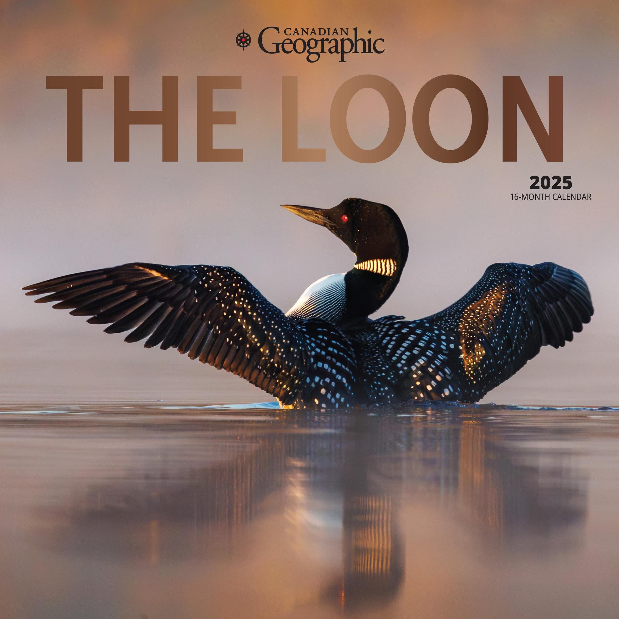 Loon Canadian Geographic Wall 2025 Calendar