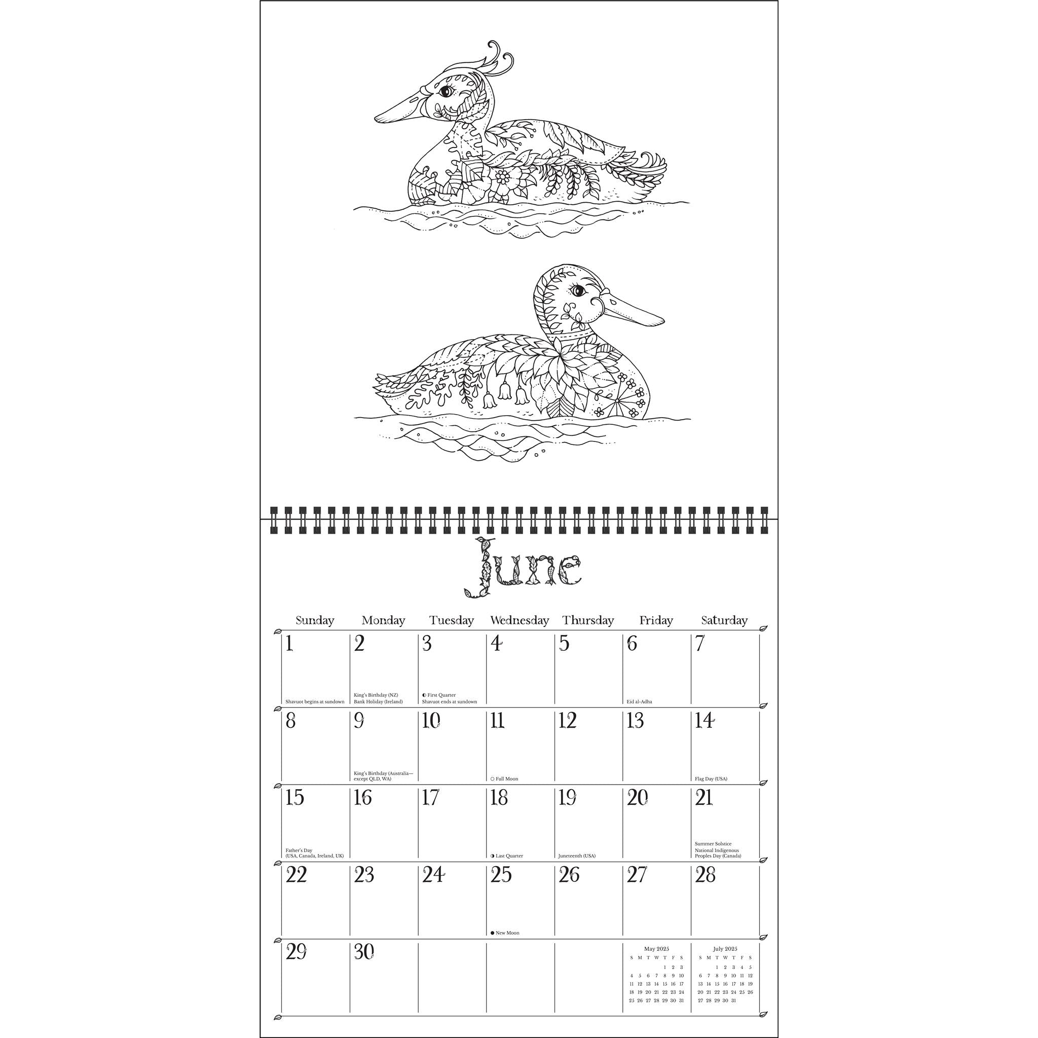 Johanna Basford Coloring Wall 2025 Calendar