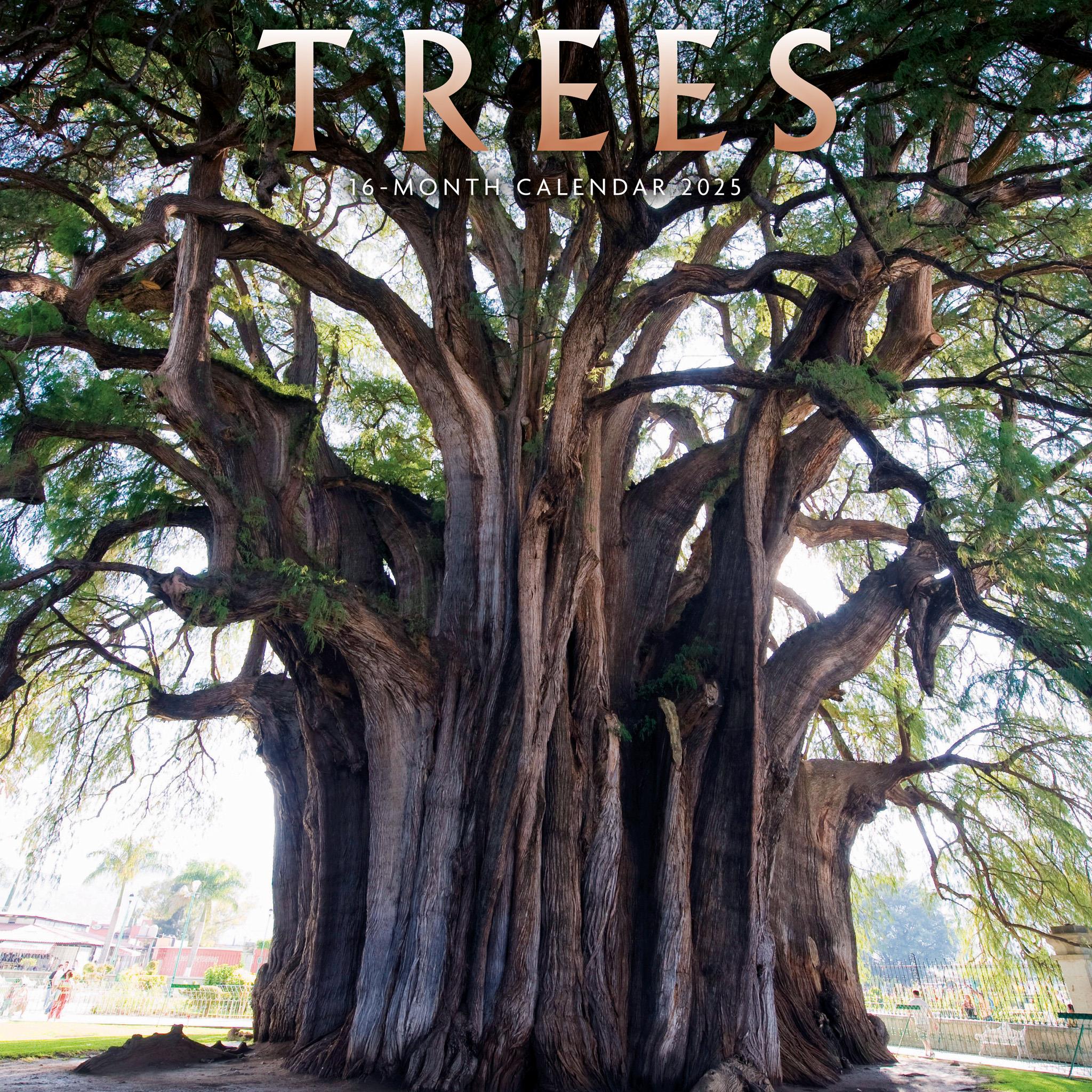 Trees Wall 2025 Calendar