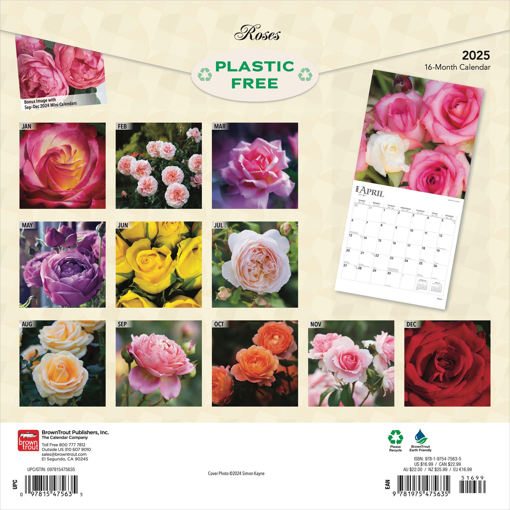 Roses Wall 2025 Calendar - Online Exclusive