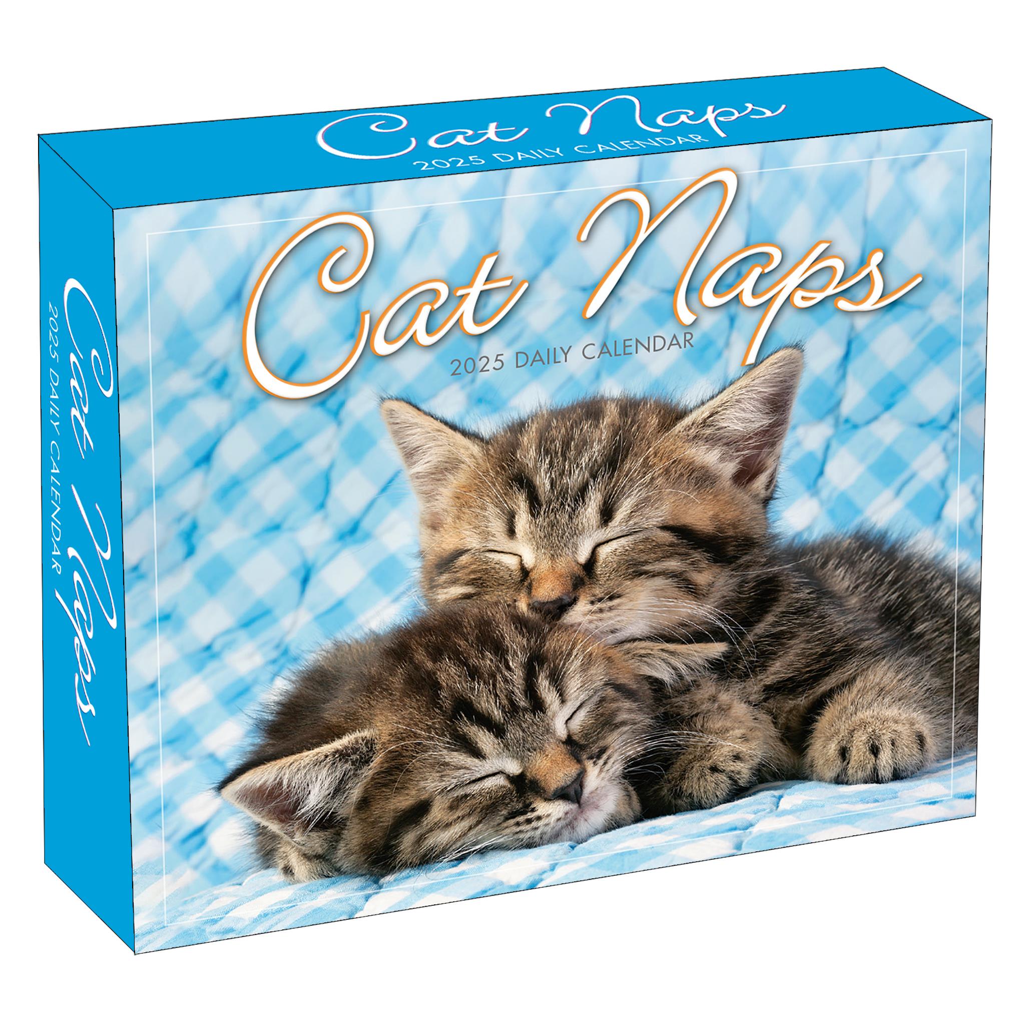 Cat Naps Box 2025 Calendar