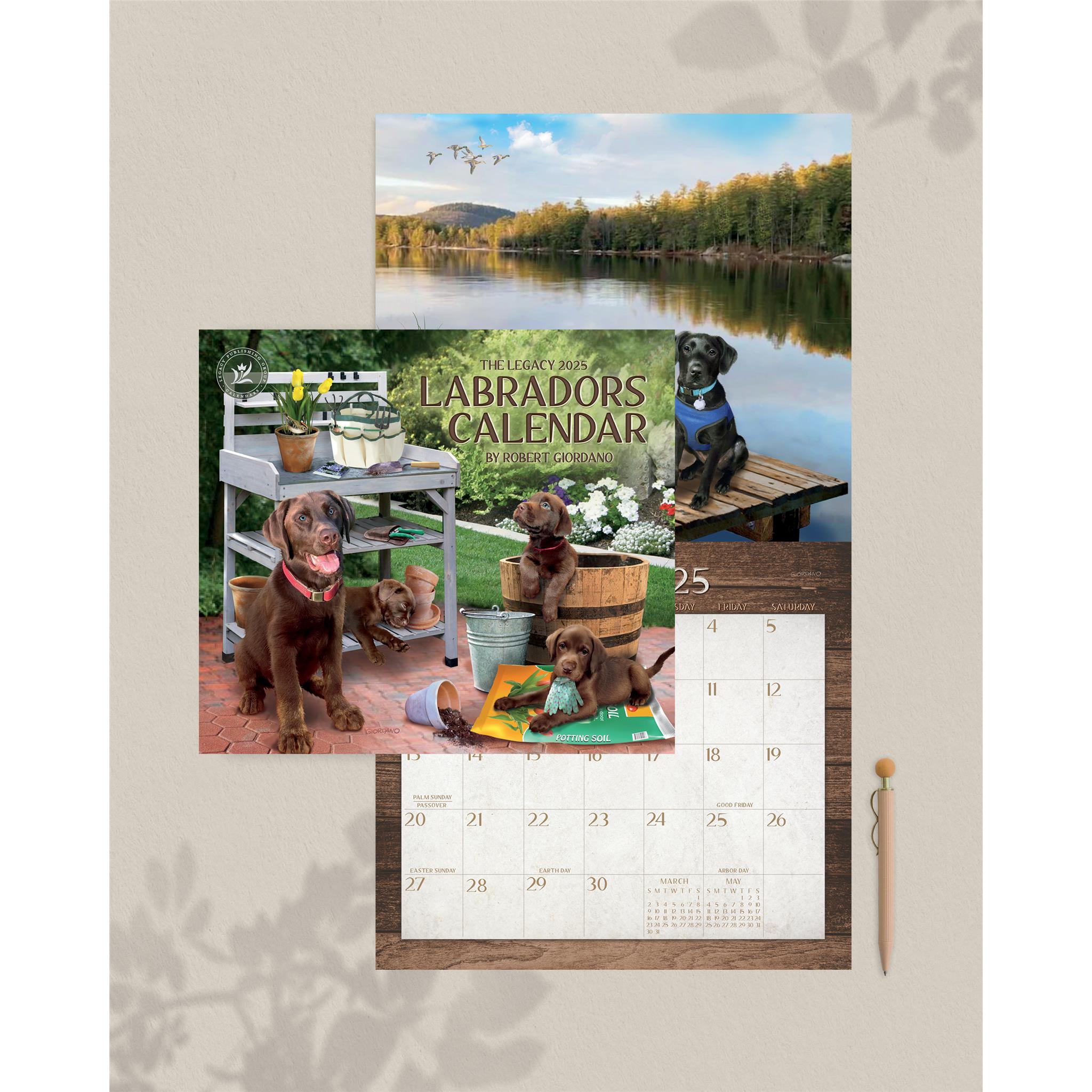 Labradors Wall 2025 Calendar - Online Exclusive