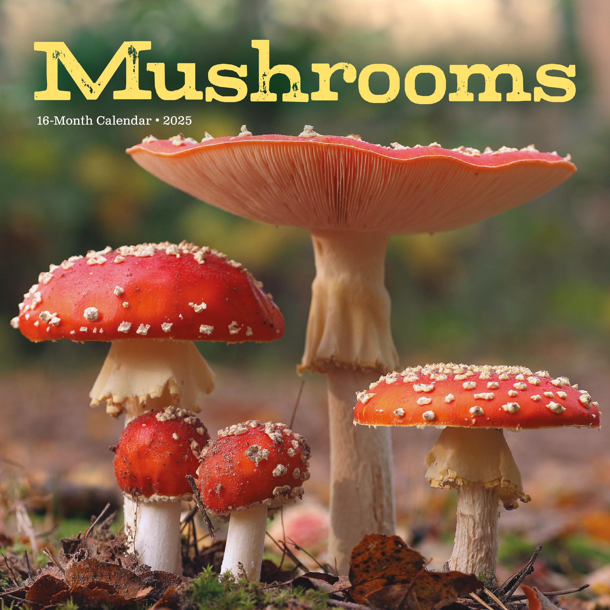 Mushrooms Wall 2025 Calendar