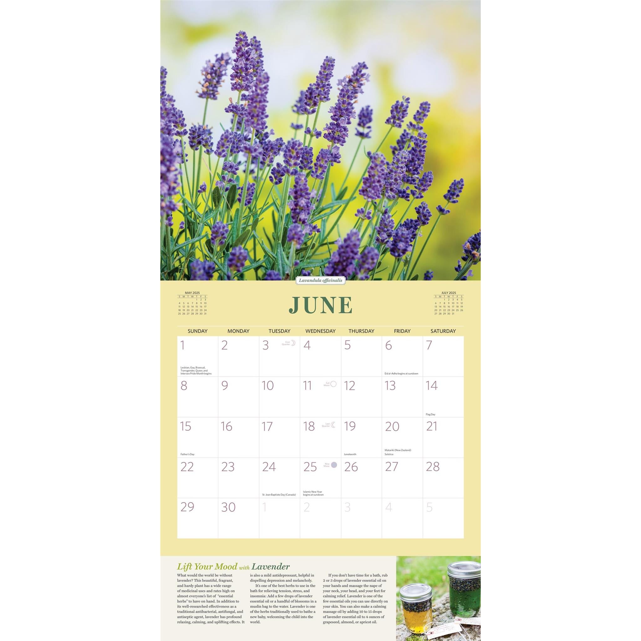 Herbs Wall 2025 Calendar