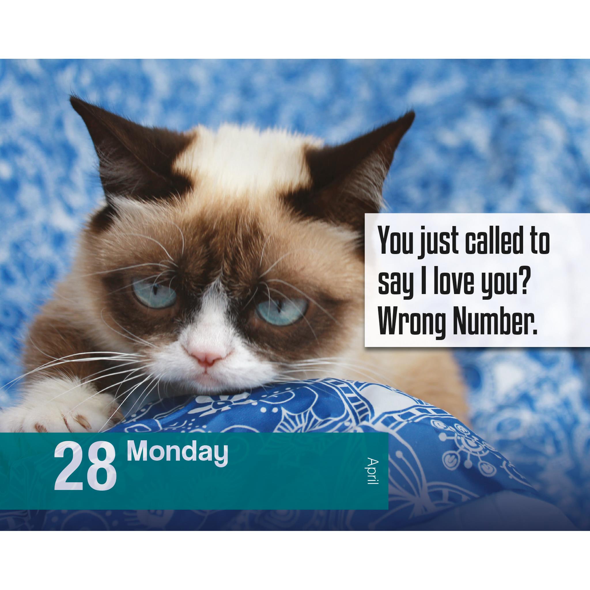 Grumpy Cat Box 2025 Calendar