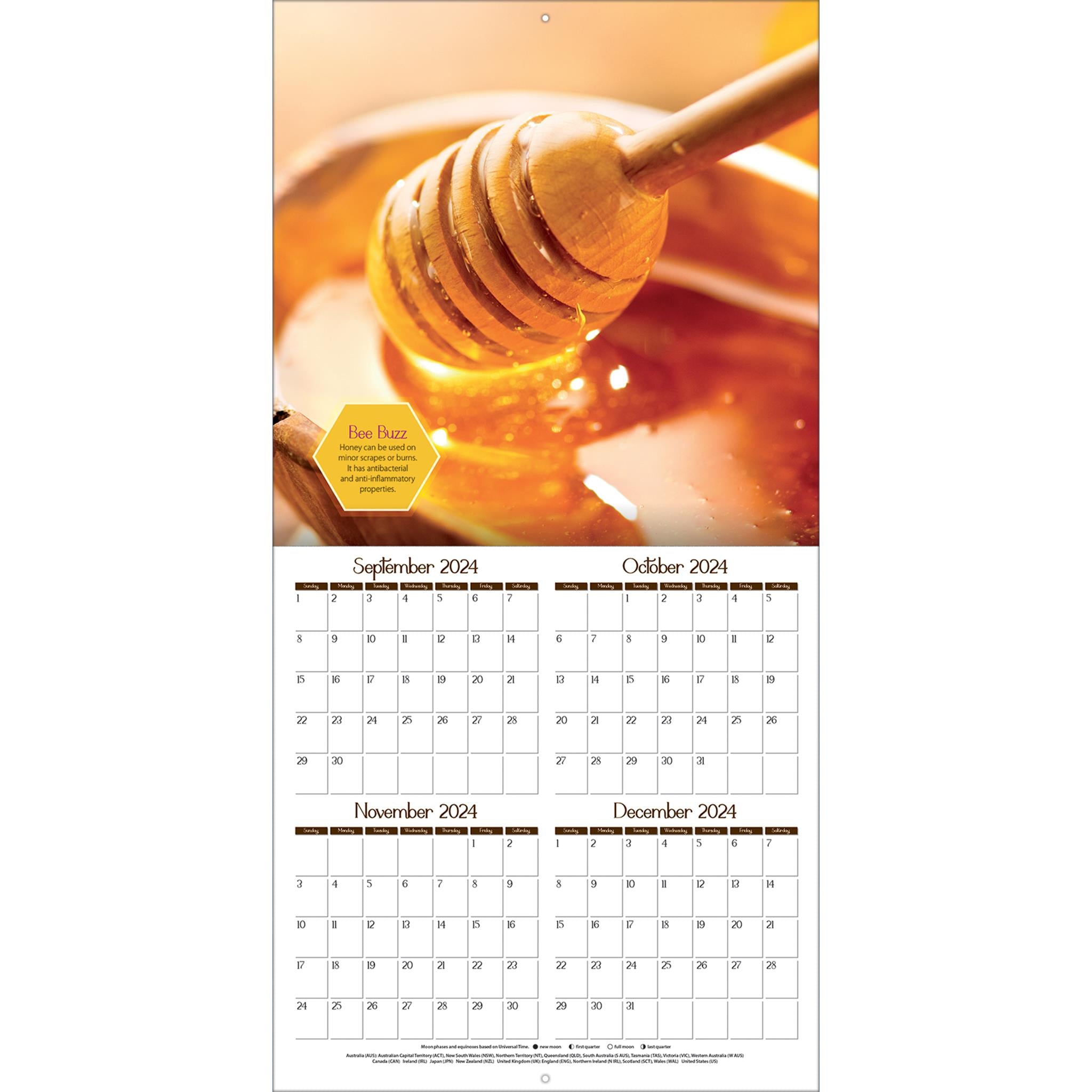 Busy Bees Wall 2025 Calendar