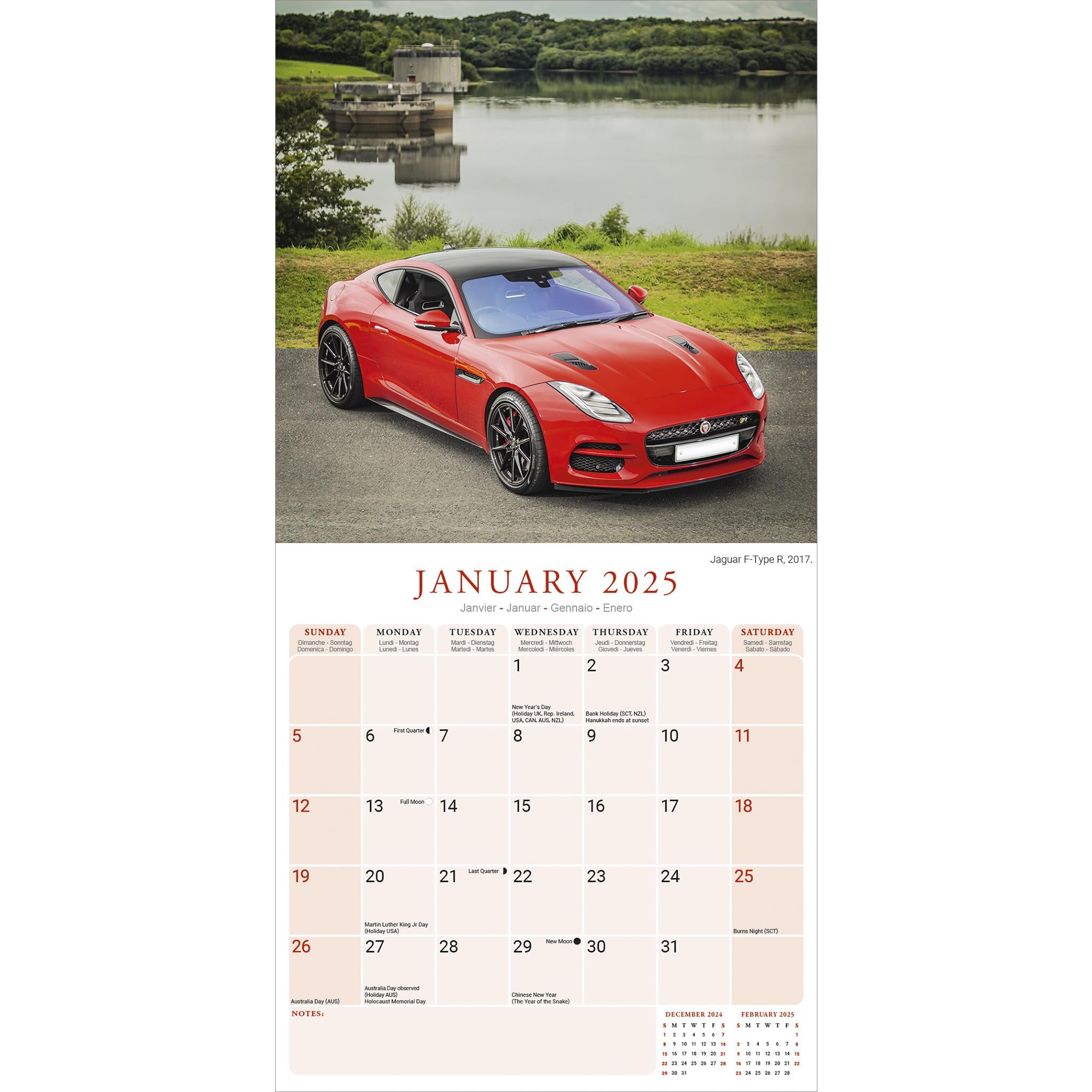 Jaguar Wall 2025 Calendar - Online Exclusive