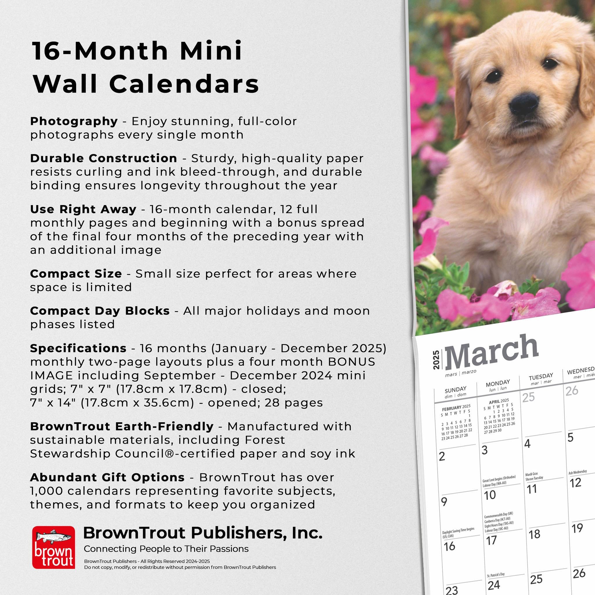 Golden Retriever Puppies Mini 2025 Calendar