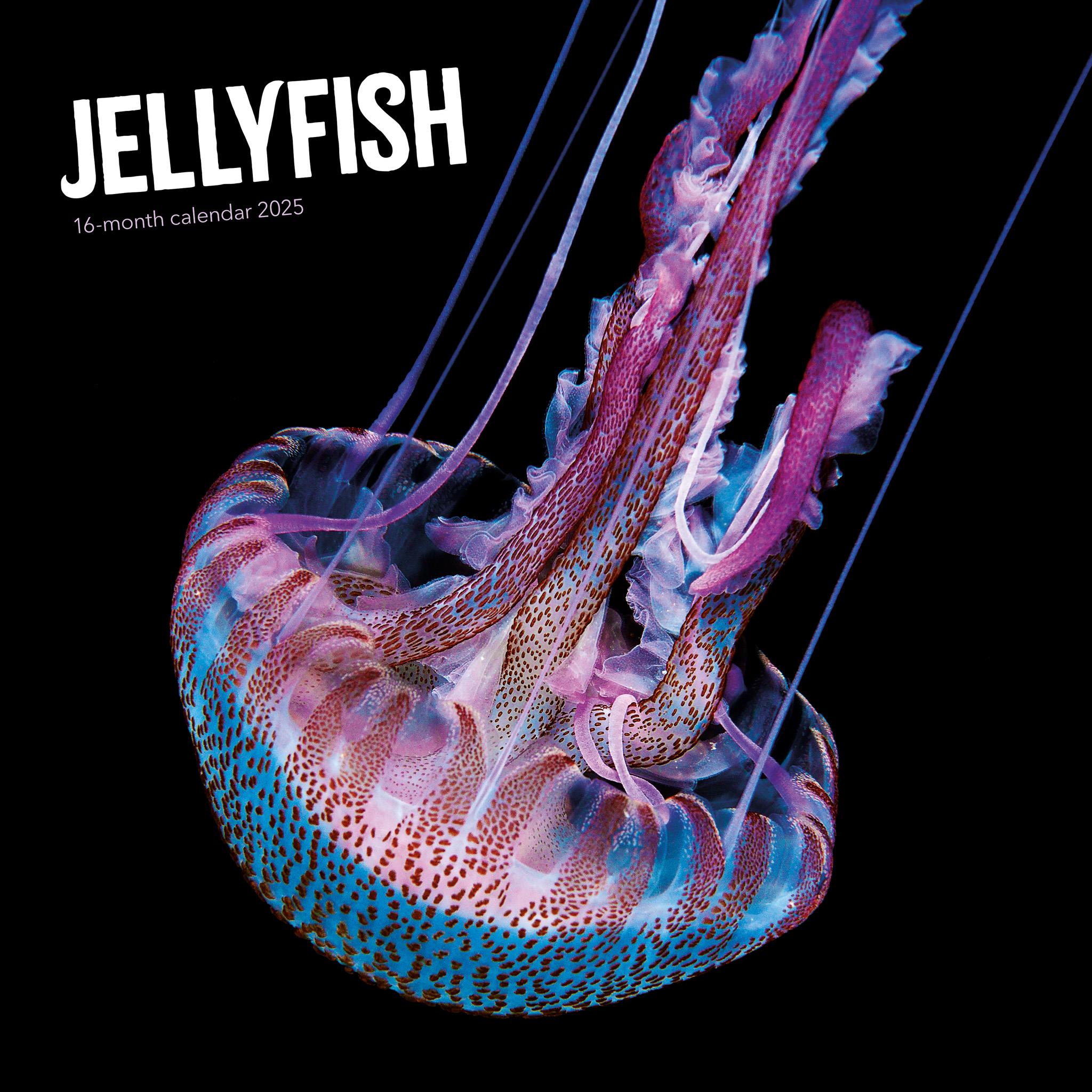 Jellyfish Wall 2025 Calendar