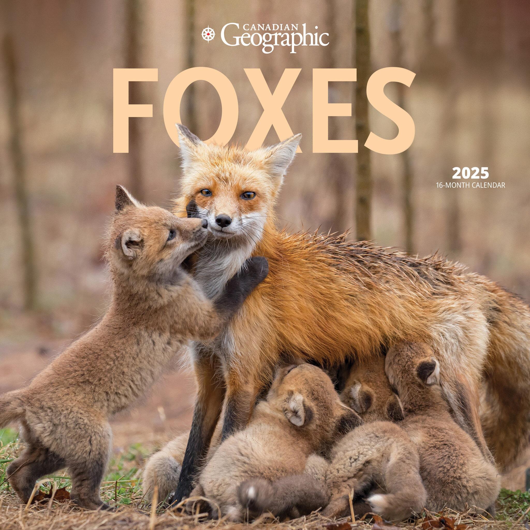 Foxes Canadian Geographic Wall 2025 Calendar