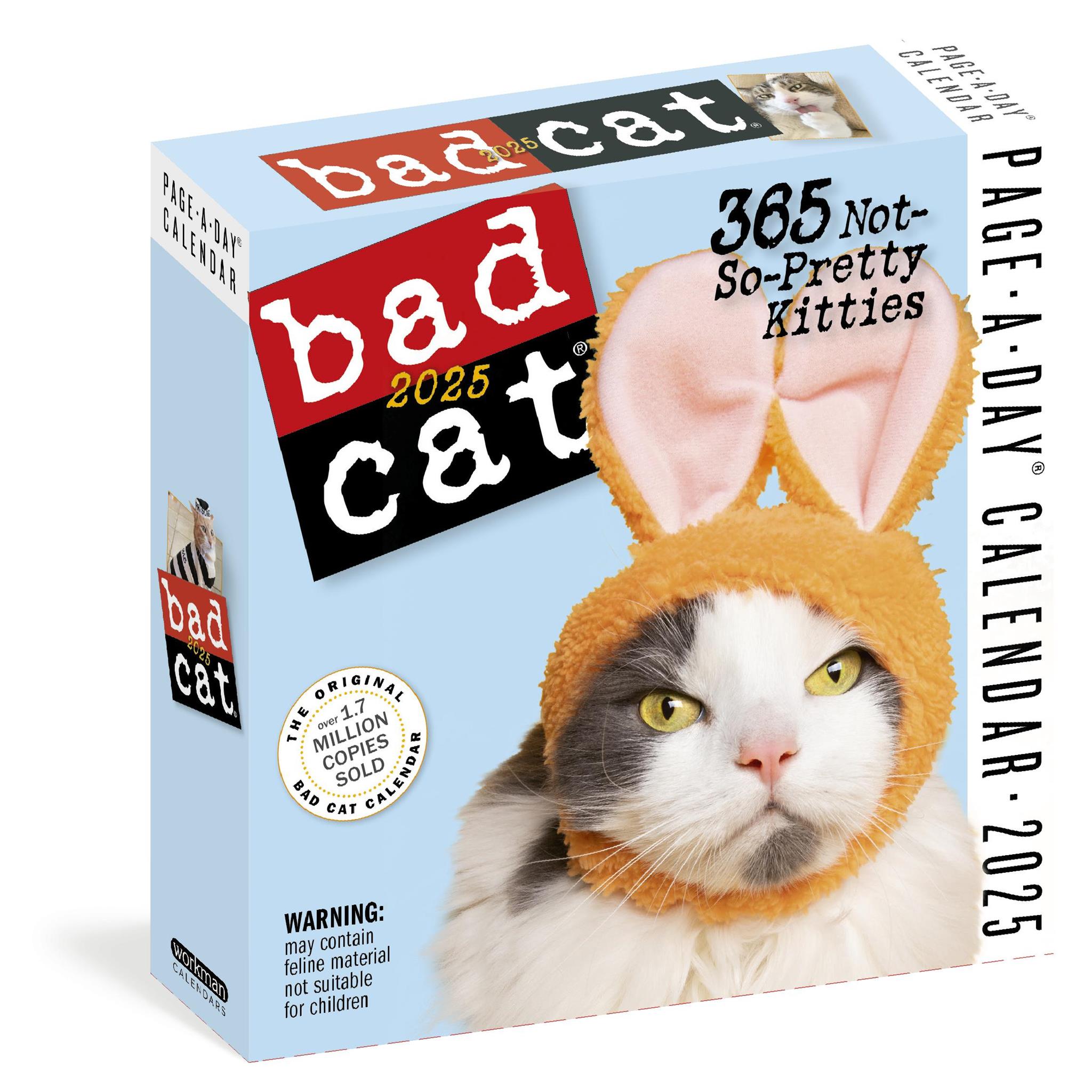 Bad Cat Box 2025 Calendar