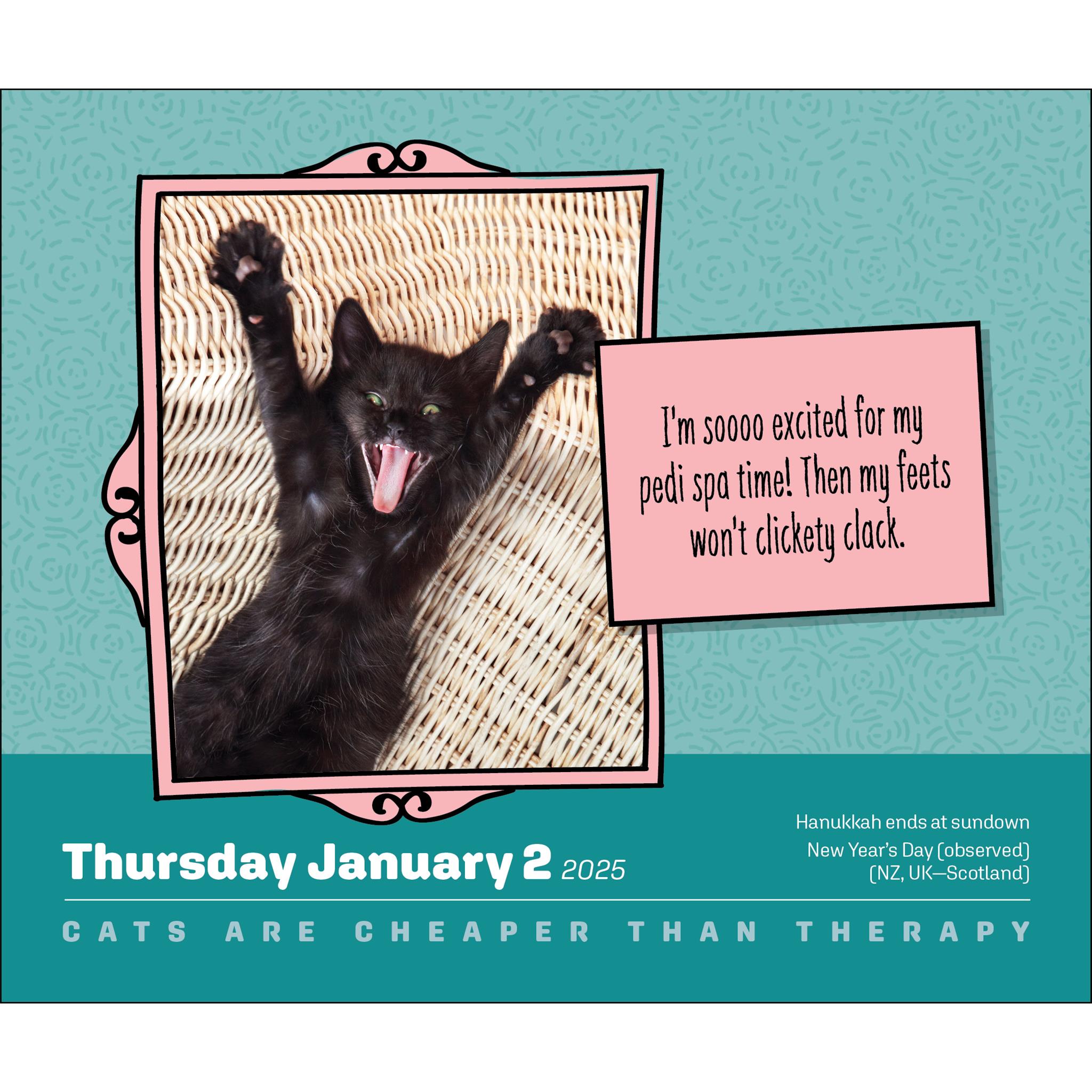 Cats Are Cheaper Than Therapy Box 2025 Calendar - Online Exclusive