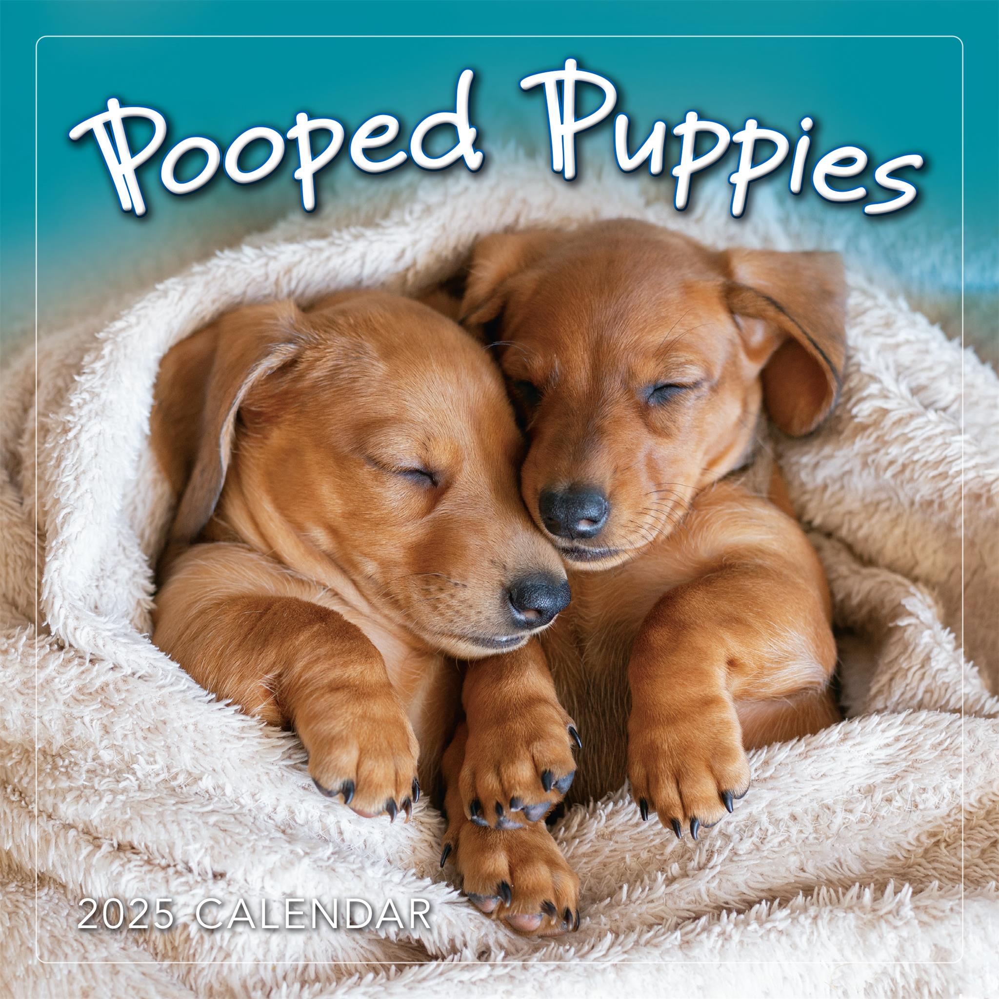 Pooped Puppies Mini 2025 Calendar