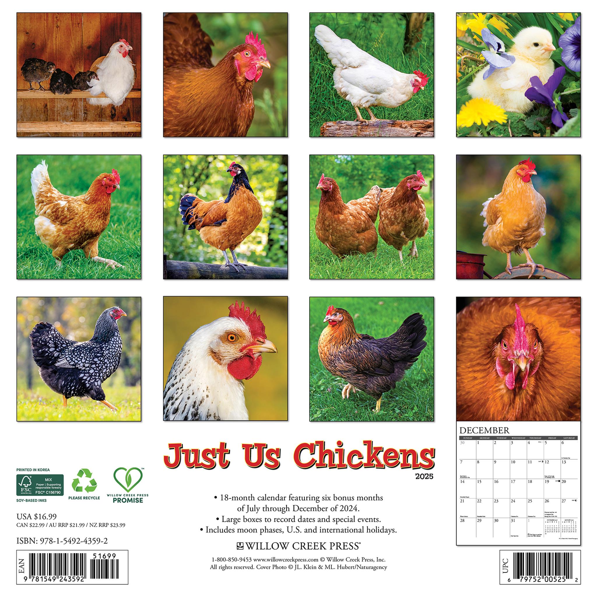 Chickens Just Us Wall 2025 Calendar - Online Exclusive