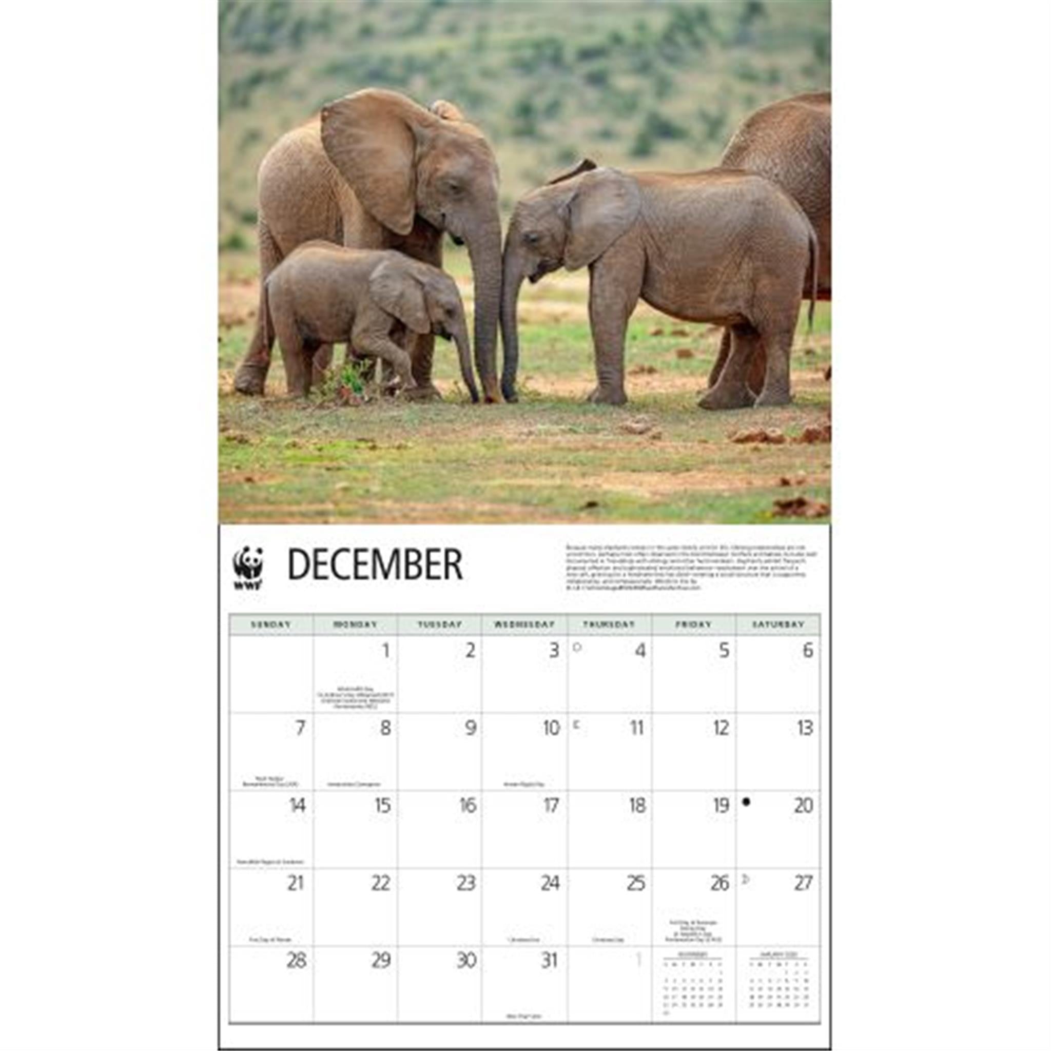 Elephants World Wildlife Fund Wall 2025 Calendar