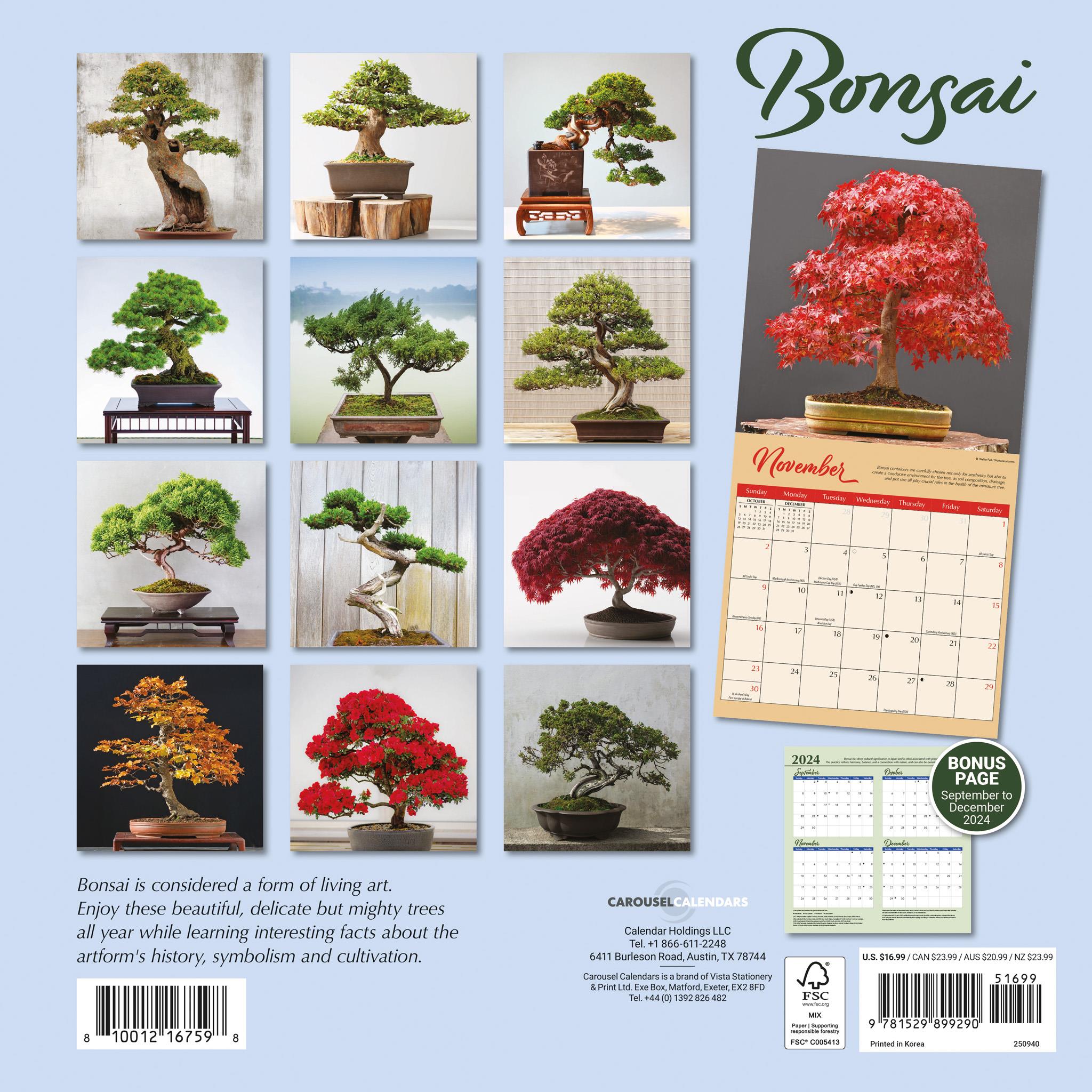 Bonsai Wall 2025 Calendar