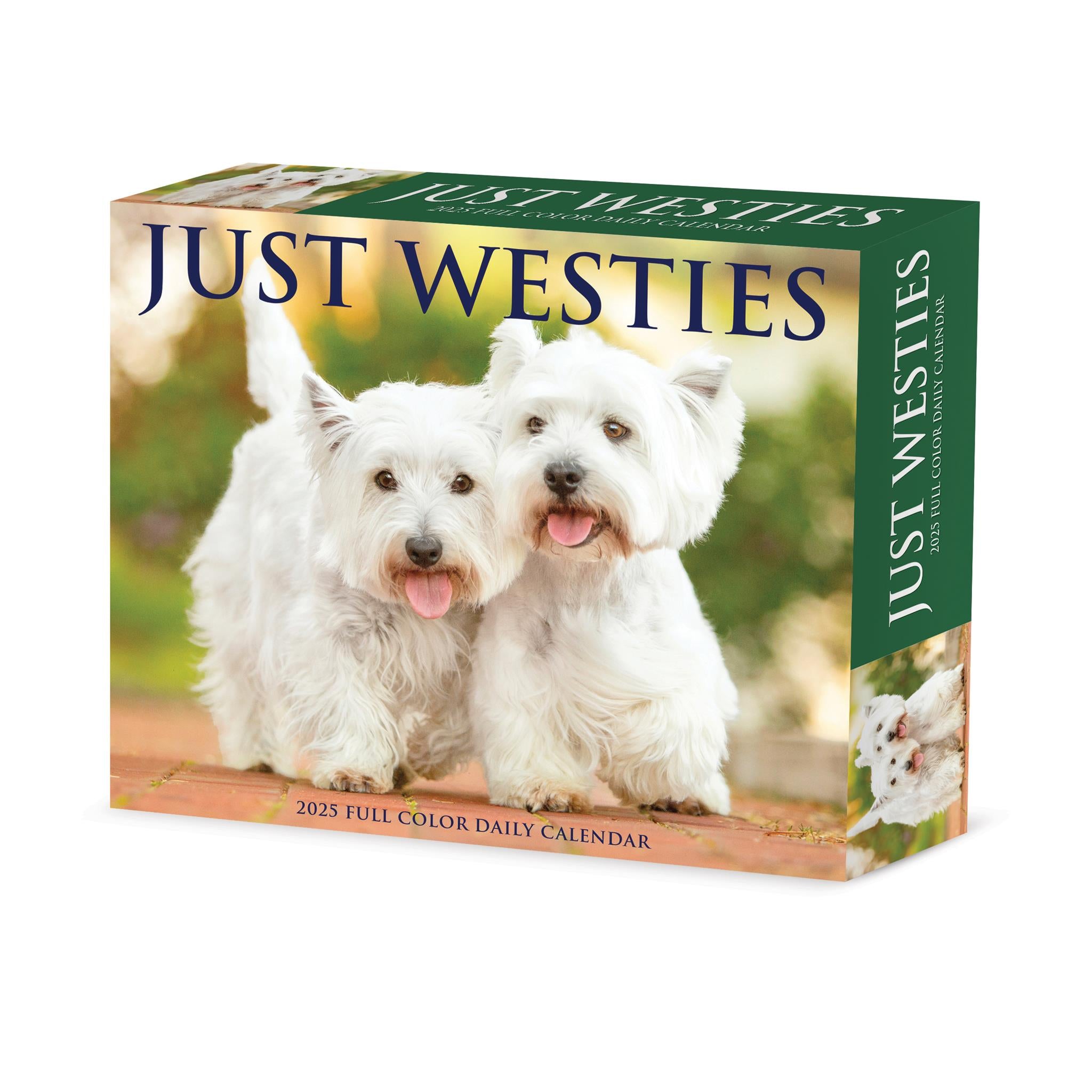 Just Westies Box 2025 Calendar - Online Exclusive