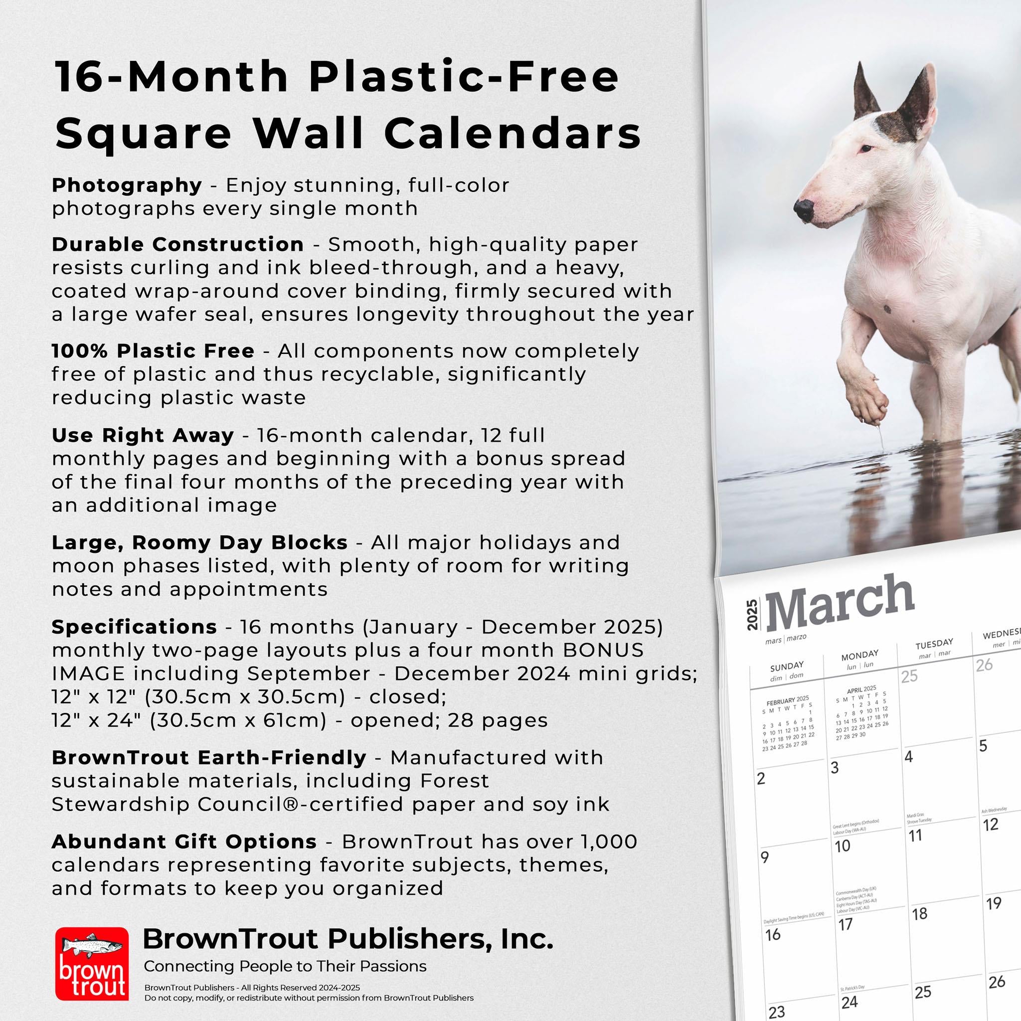 Bull Terriers Wall 2025 Calendar