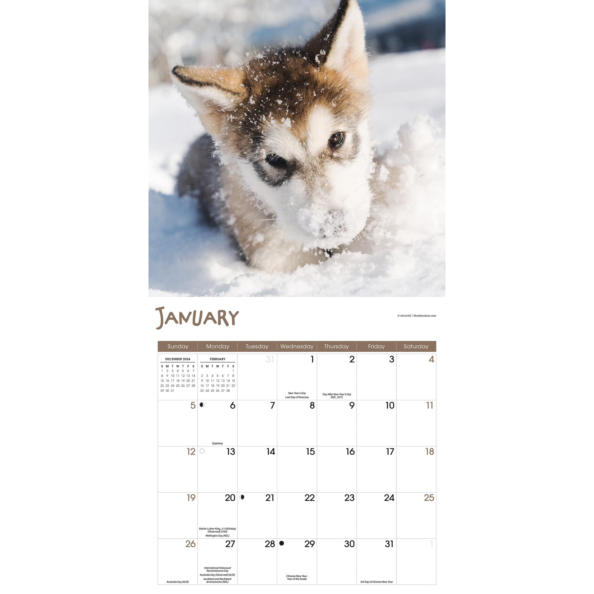 Playful Puppies Wall 2025 Calendar