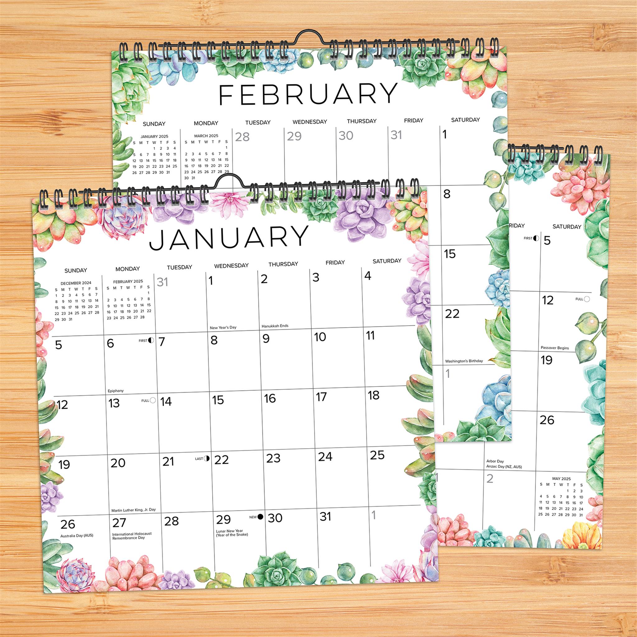 Succulents Spiral Wall 2025 Calendar - Online Exclusive