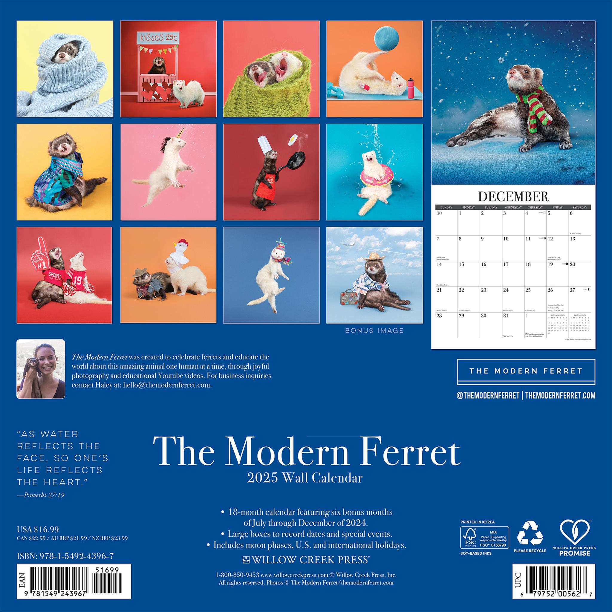 Modern Ferret Wall 2025 Calendar