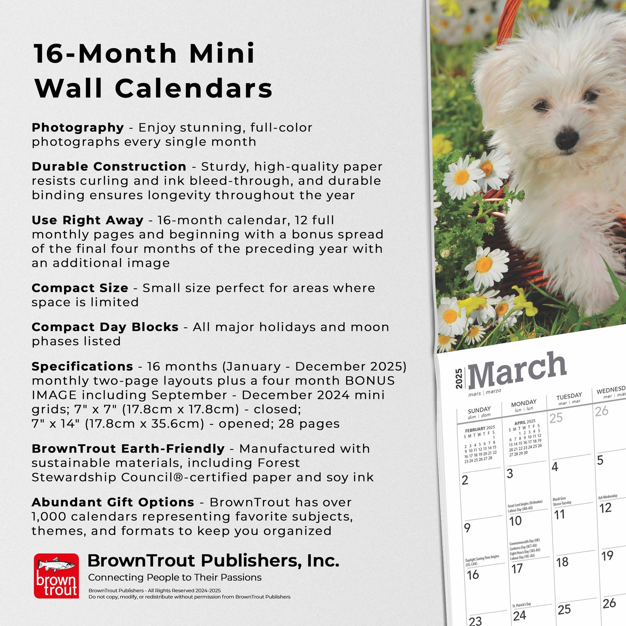 Maltese Mini 2025 Calendar - Online Exclusive