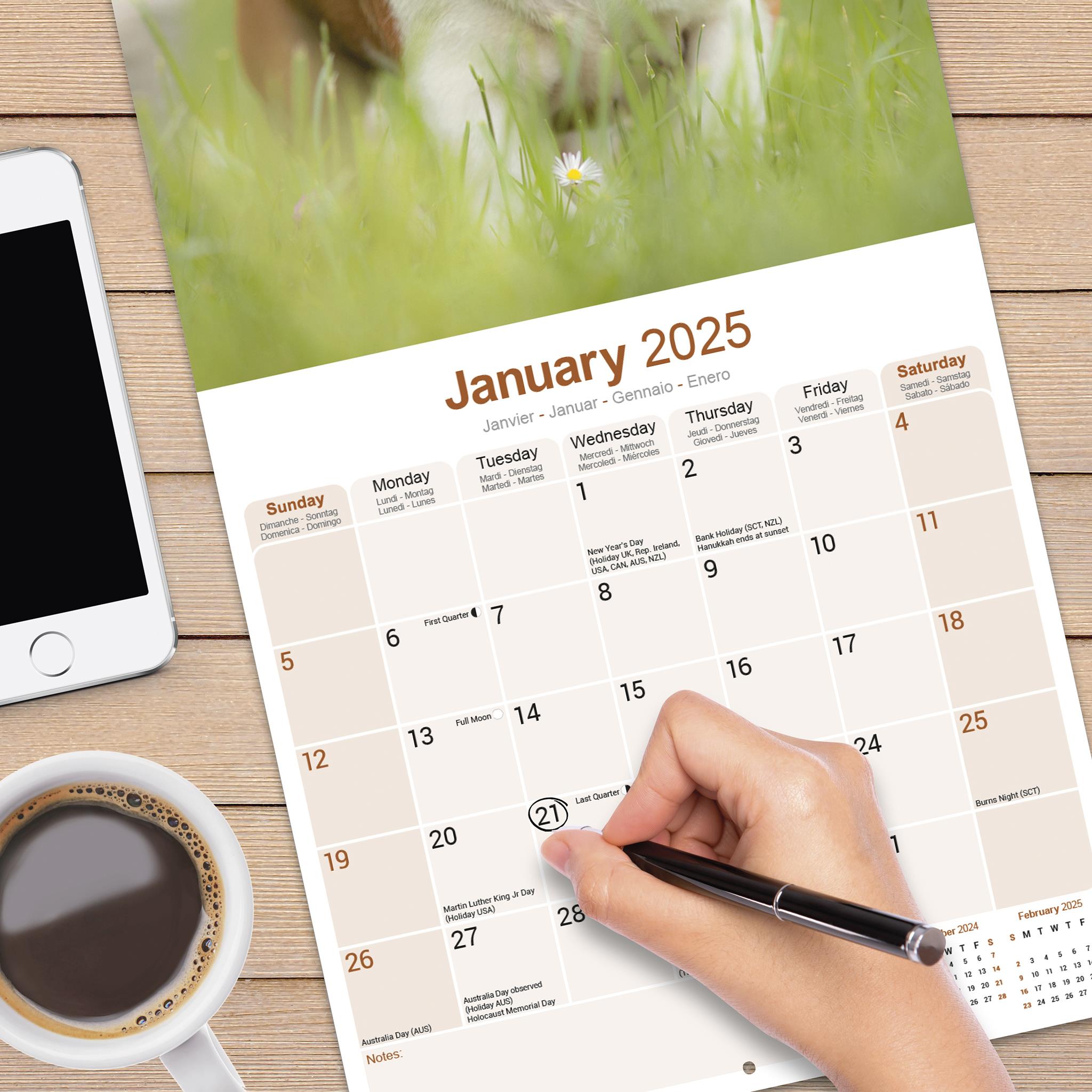 American Staffordshire Terrier Wall 2025 Calendar - Online Exclusive