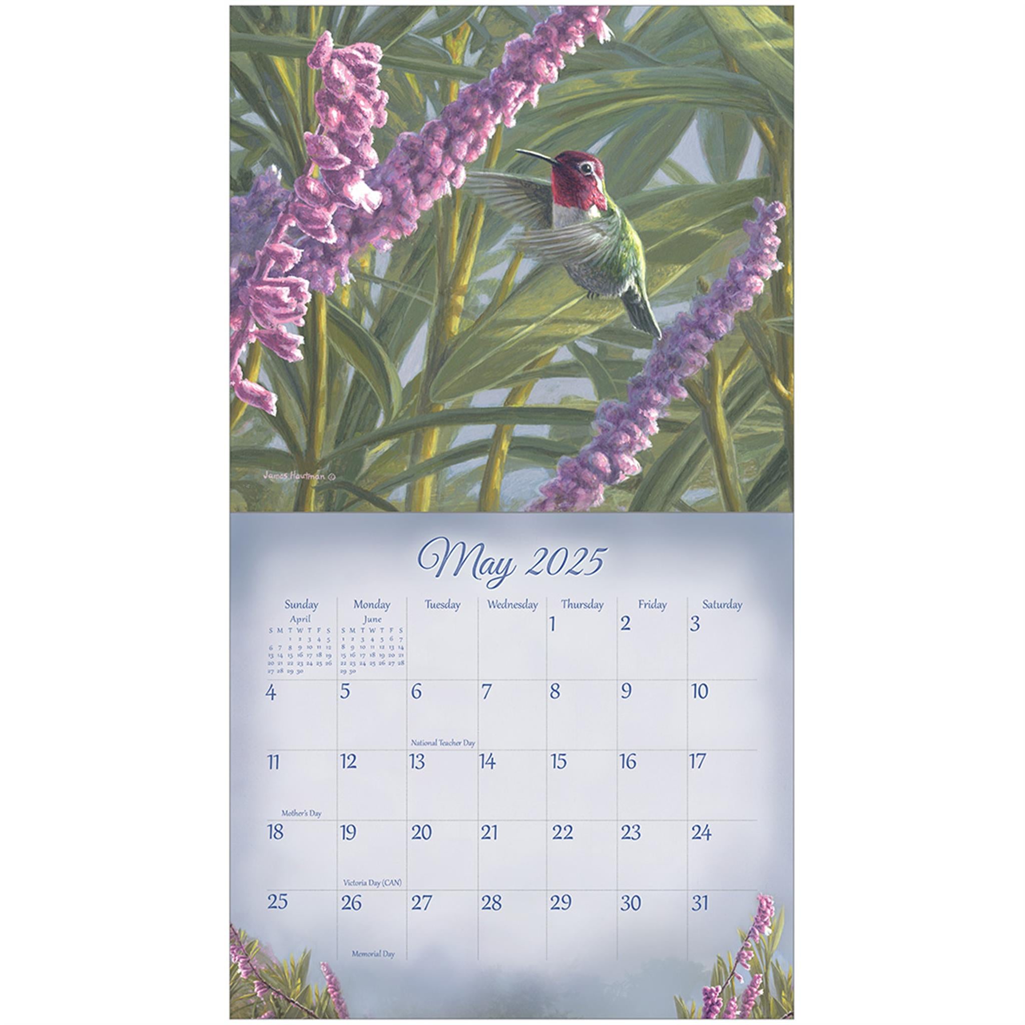 Songbirds Wall 2025 Calendar - Online Exclusive