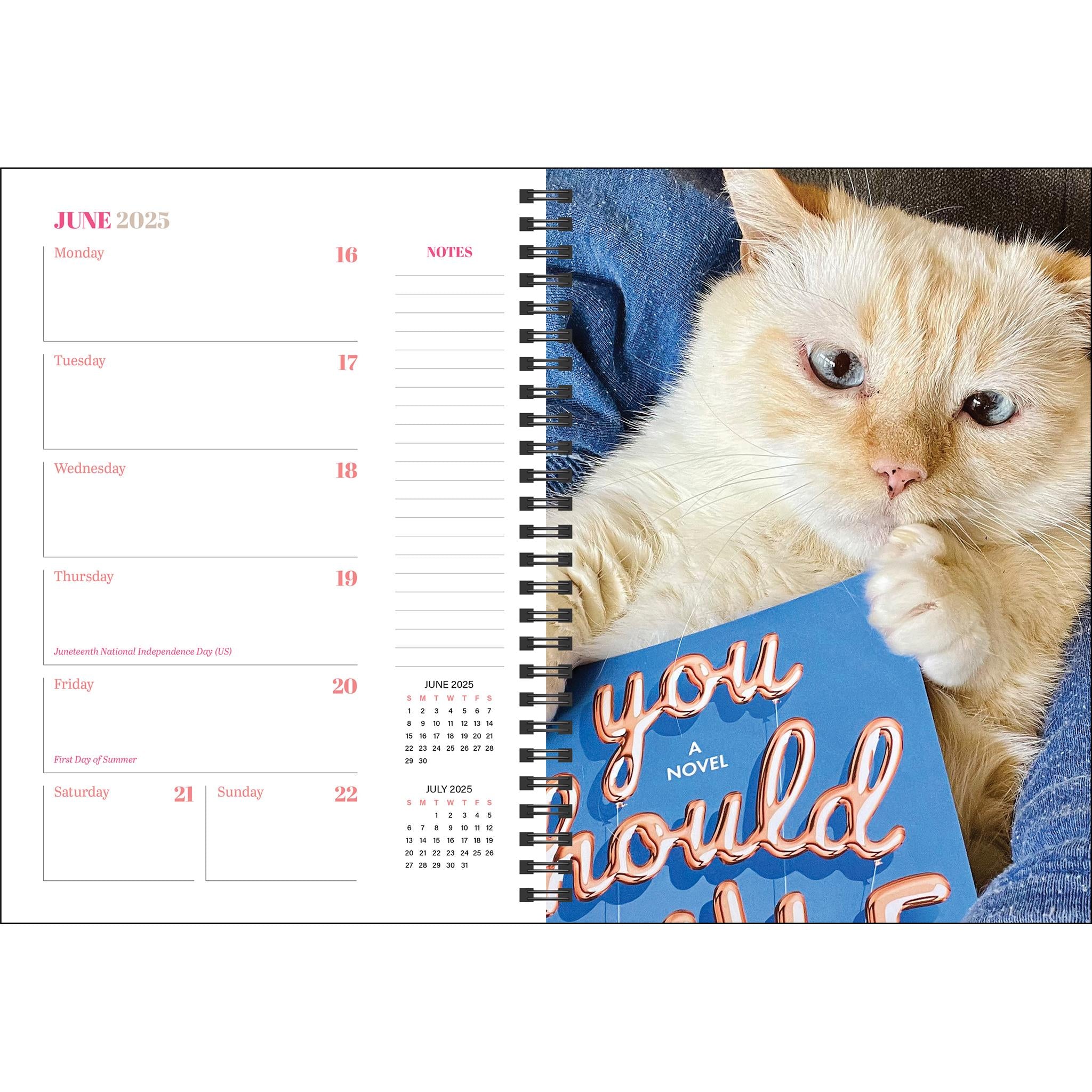 Cats And Books Engagement 2025 Calendar - Online Exclusive