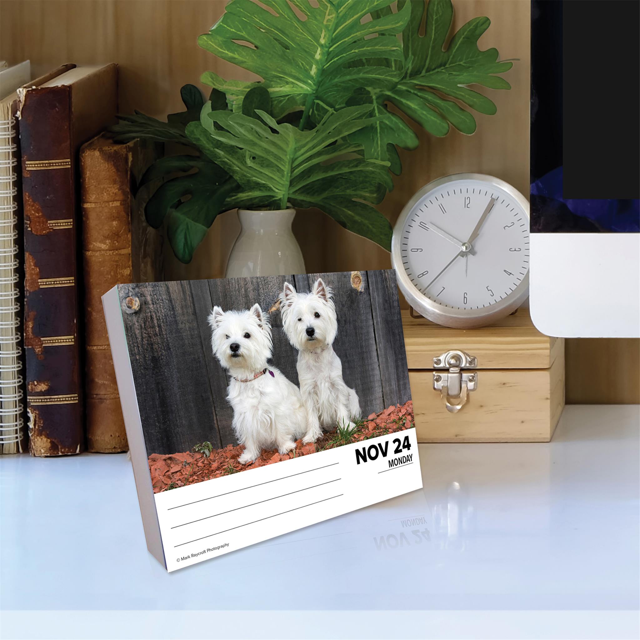 Just Westies Box 2025 Calendar - Online Exclusive