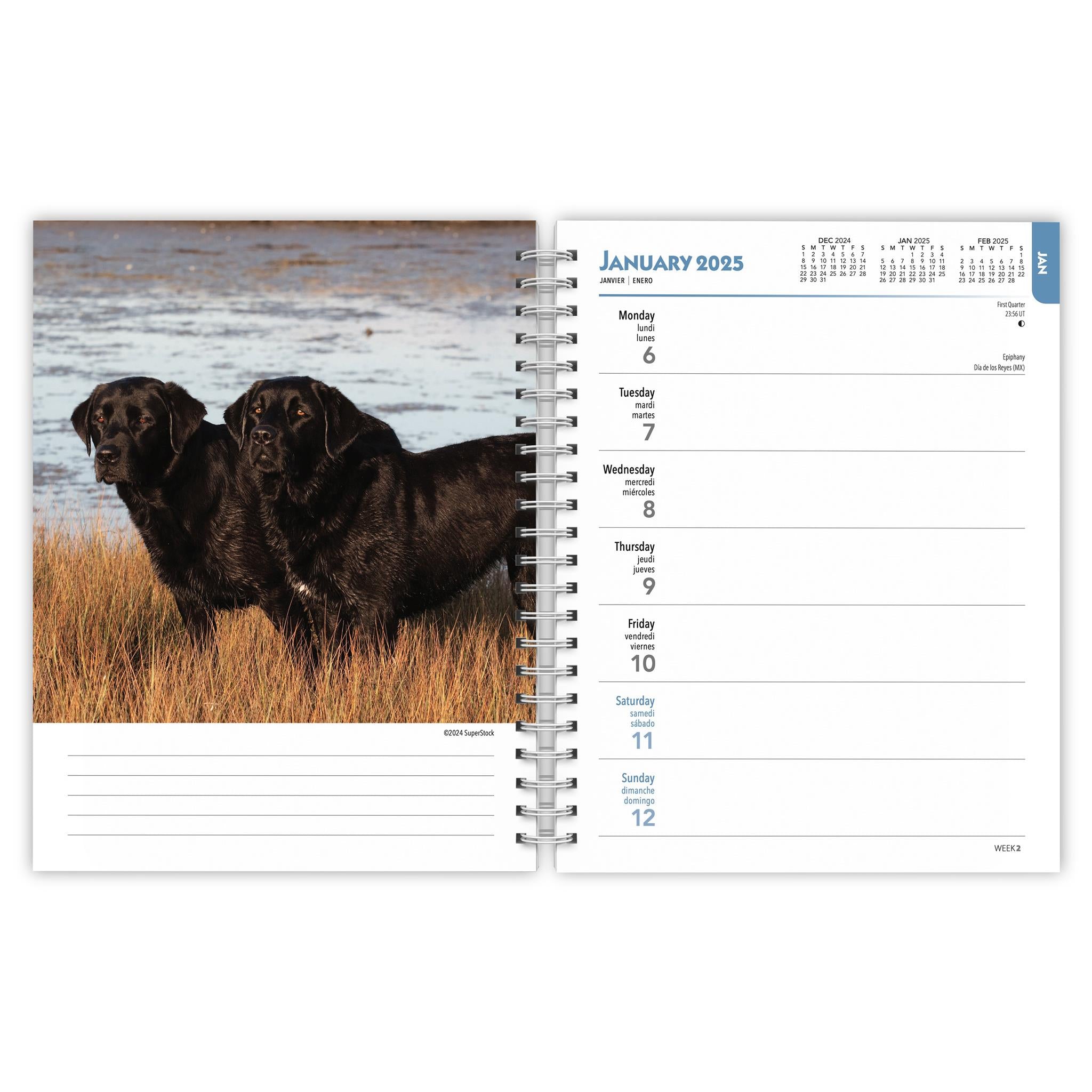 Lab Black Engagement 2025 Calendar - Online Exclusive